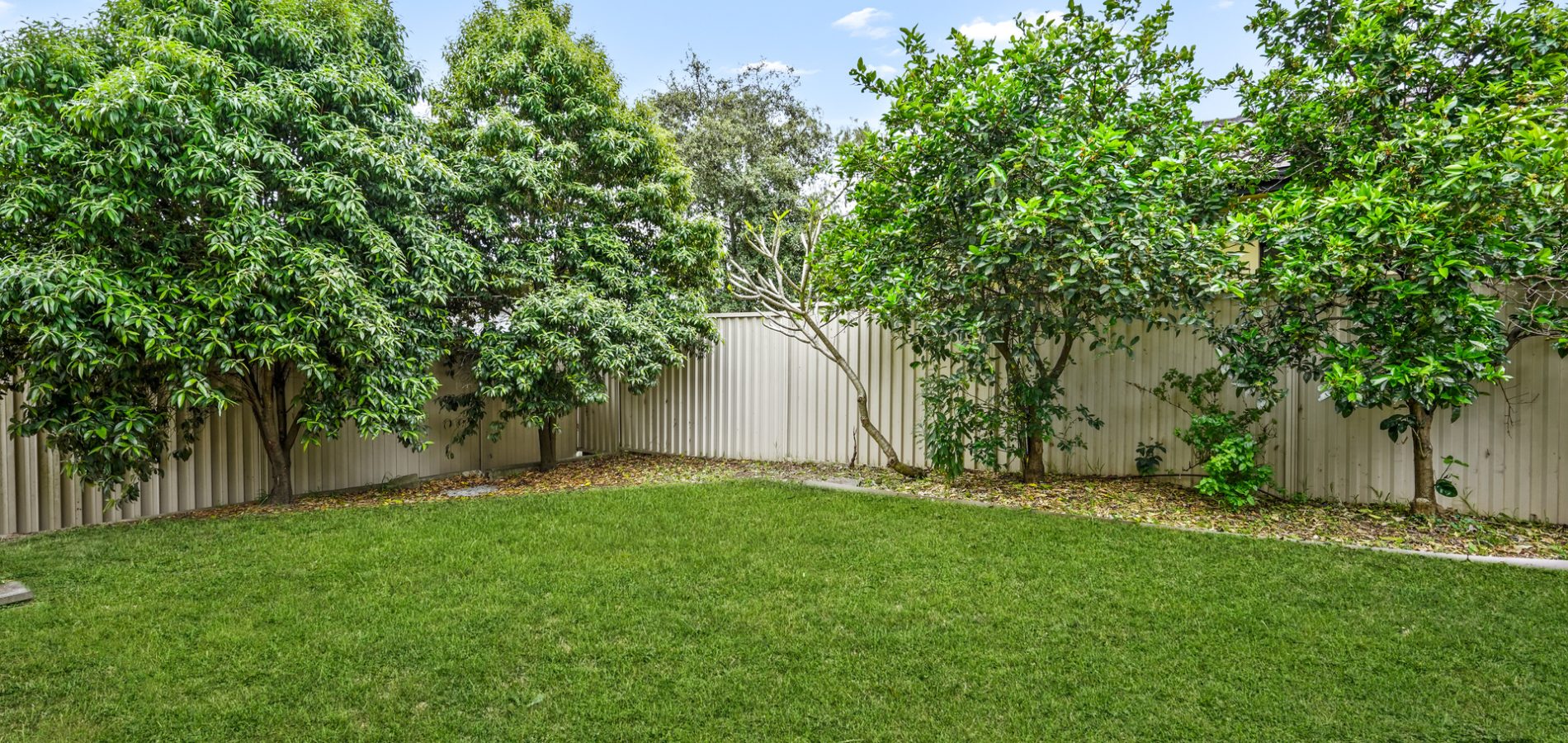 Sold - 1/387 Blacktown Road - New Property in Toongabbie - Real Estate by Sam Dalgliesh