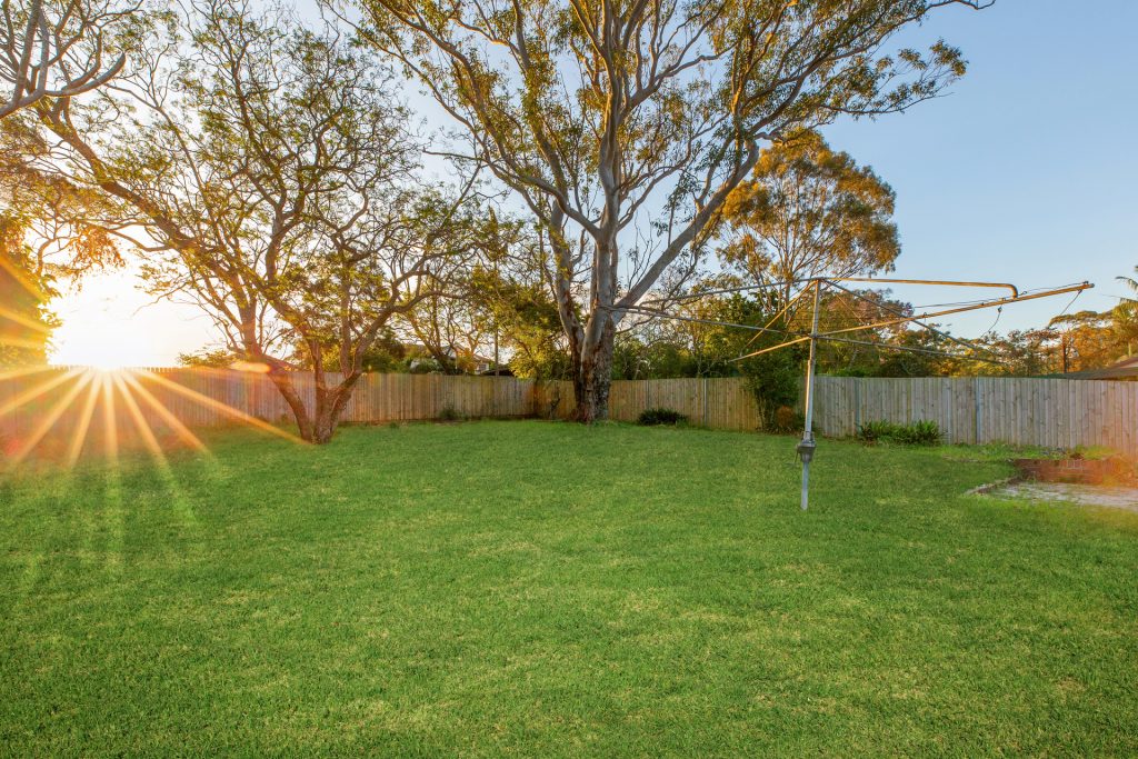 Sold - 25 Central Avenue - New Property in Eastwood - Real Estate by Ben Davenport