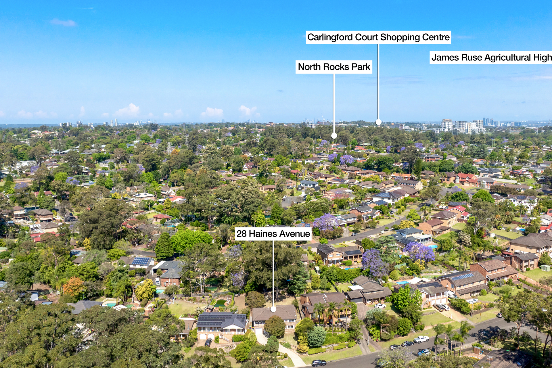 Sold - 28 Haines Avenue - New Property in Carlingford - Real Estate by Peter Pokorny