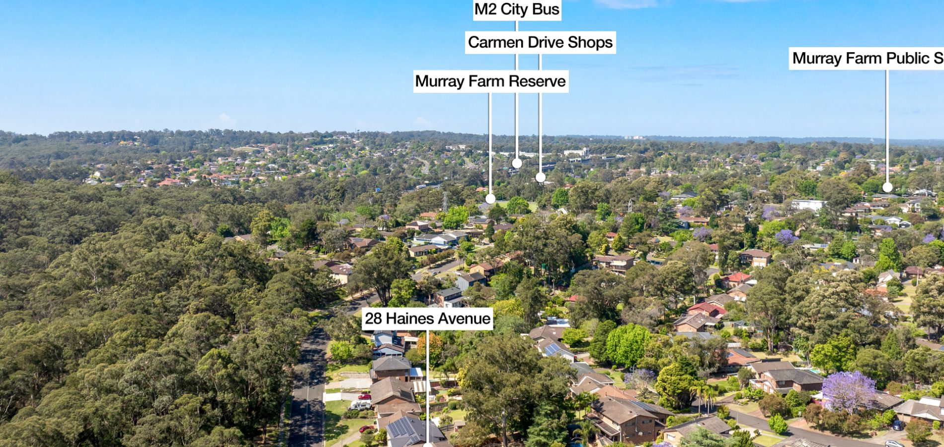 Sold - 28 Haines Avenue - New Property in Carlingford - Real Estate by Peter Pokorny