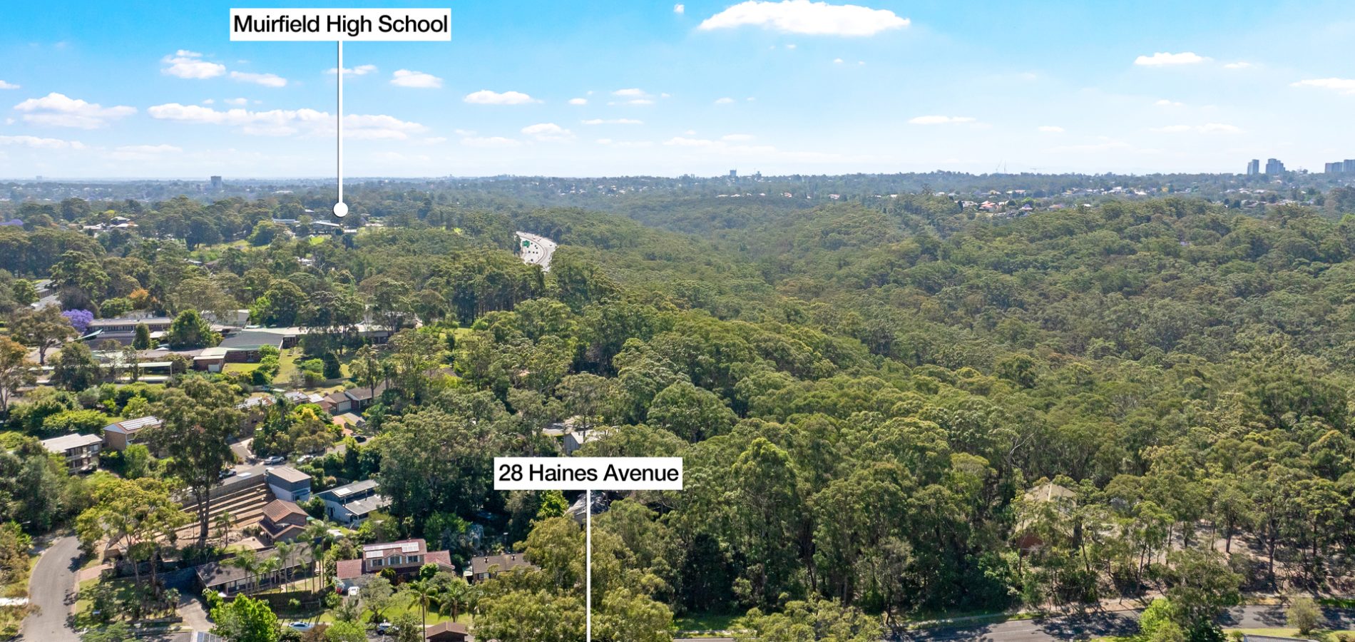 Sold - 28 Haines Avenue - New Property in Carlingford - Real Estate by Peter Pokorny