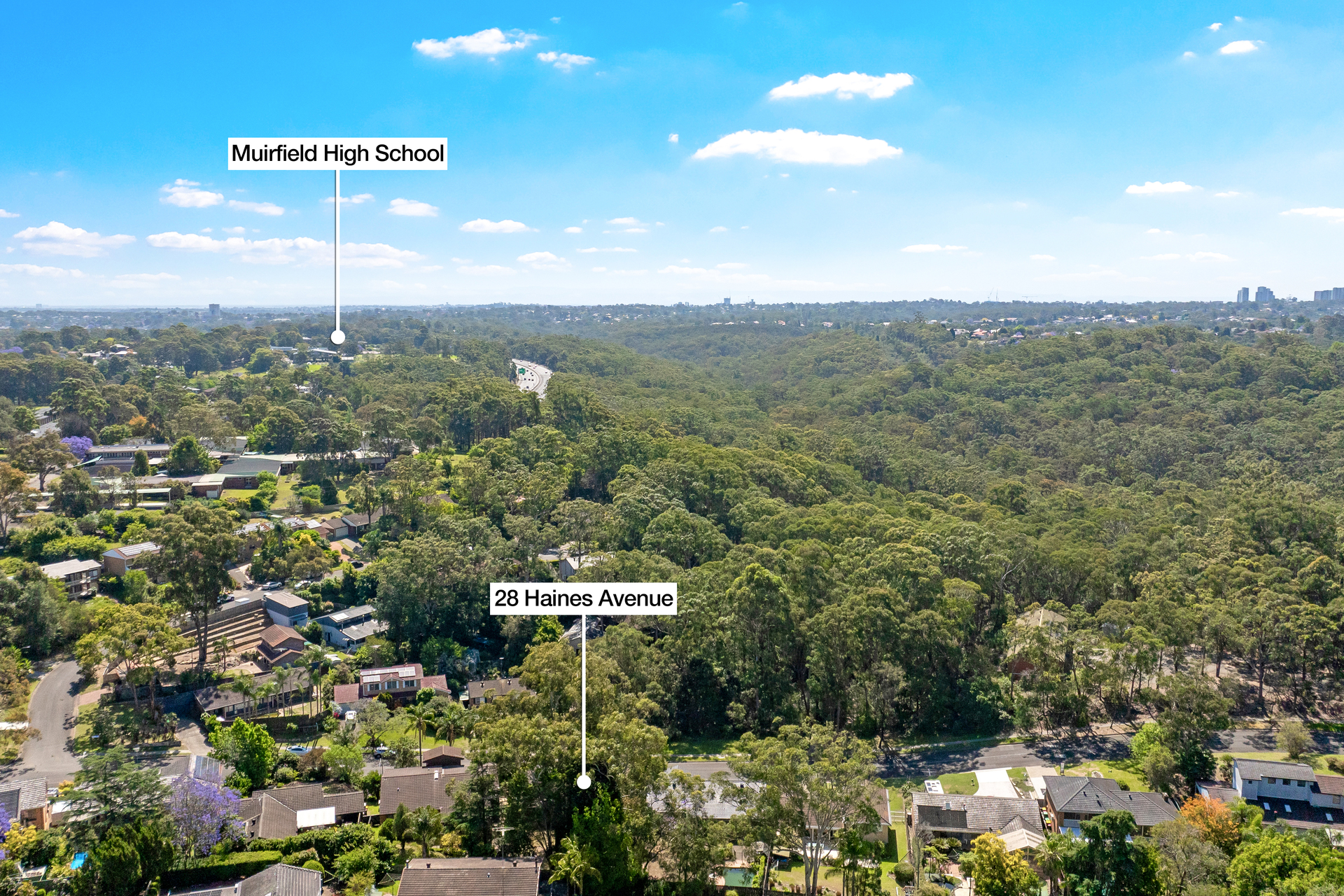 Sold - 28 Haines Avenue - New Property in Carlingford - Real Estate by Peter Pokorny