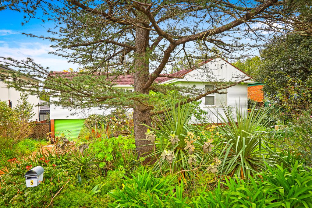 Sold - 5 Peter Street - New Property in Baulkham Hills - Real Estate by Maree McCrorie