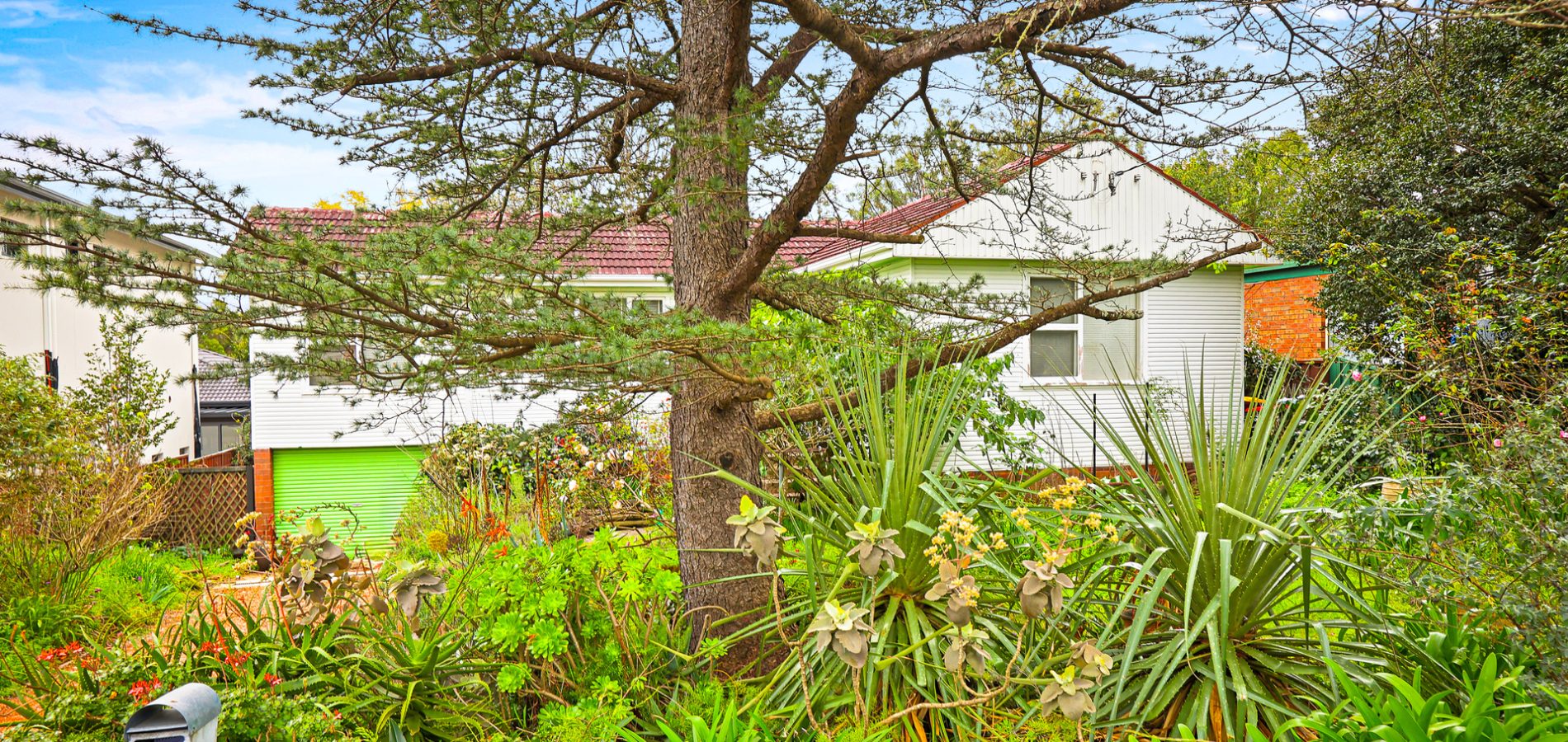 Sold - 5 Peter Street - New Property in Baulkham Hills - Real Estate by Maree McCrorie