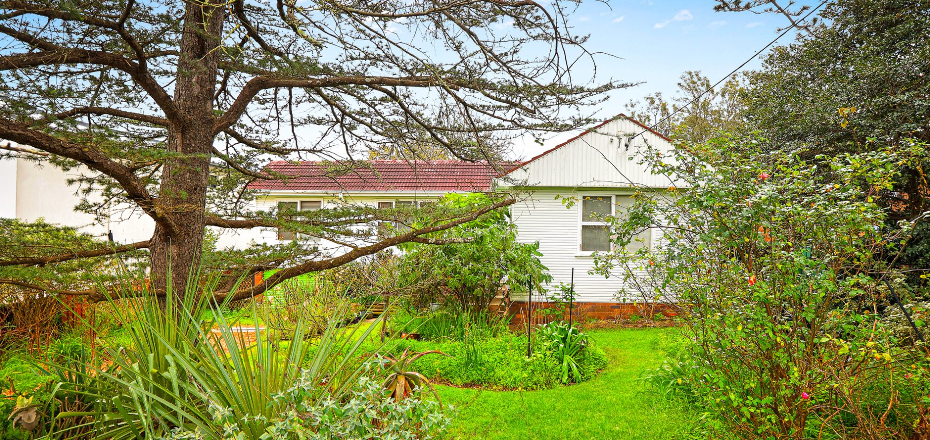 Sold - 5 Peter Street - New Property in Baulkham Hills - Real Estate by Maree McCrorie
