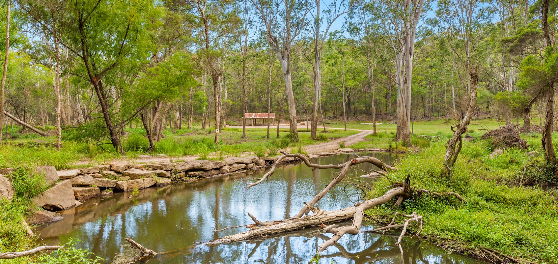 Sold - Lot 9/85 Gibbs Road - New Property in Kenthurst - Real Estate by Louis Stapleton