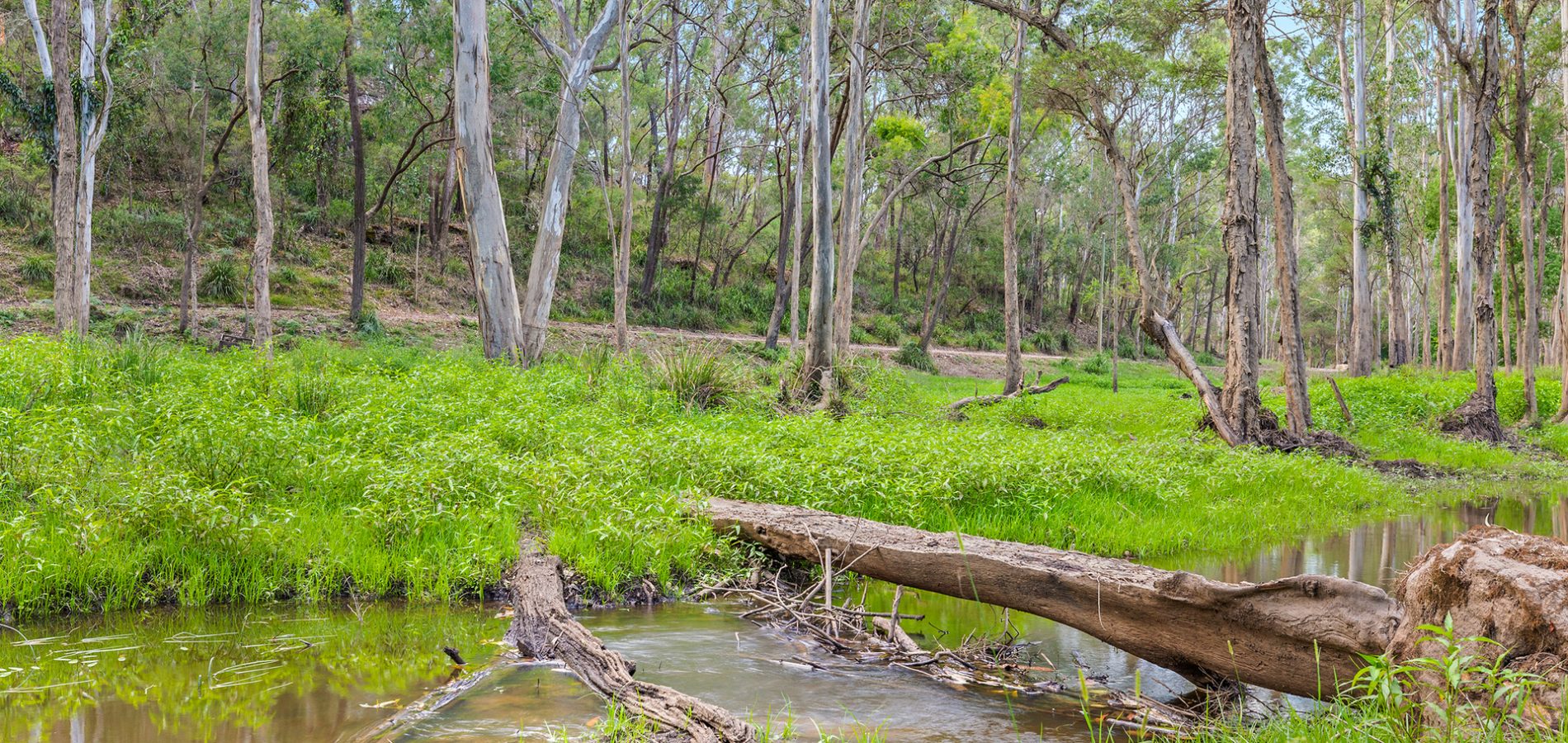 Sold - Lot 9/85 Gibbs Road - New Property in Kenthurst - Real Estate by Louis Stapleton