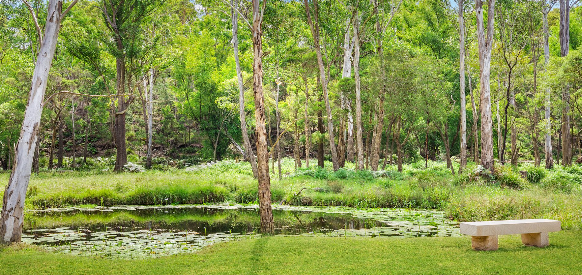 Sold - Lot 9/85 Gibbs Road - New Property in Kenthurst - Real Estate by Louis Stapleton