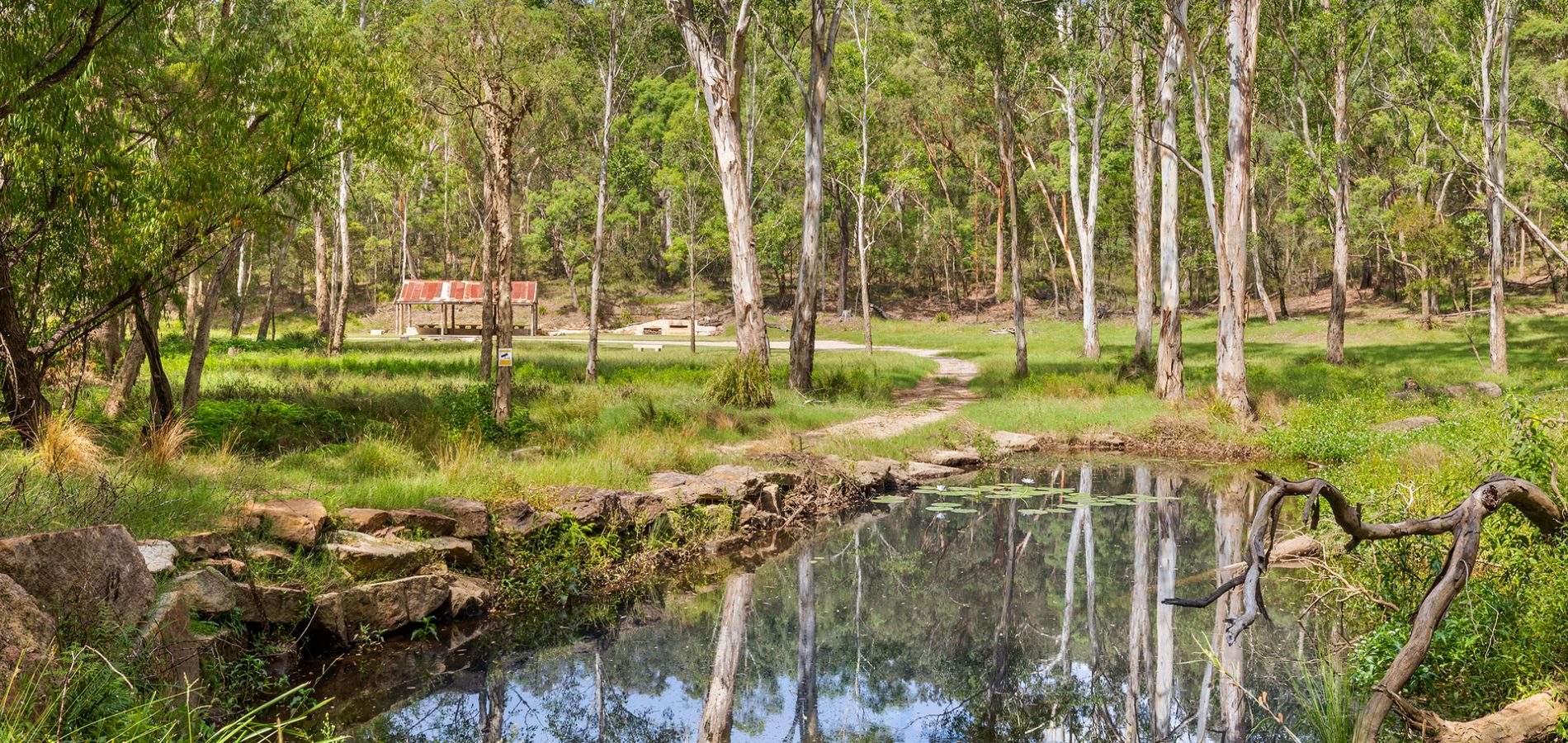 Sold - Lot 10/85 Gibbs Road - New Property in Kenthurst - Real Estate by Louis Stapleton