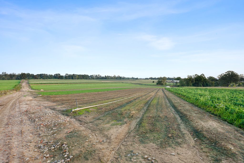 Sold - 68 Burdekin Road - New Property in Wilberforce - Real Estate by Greg Vincent