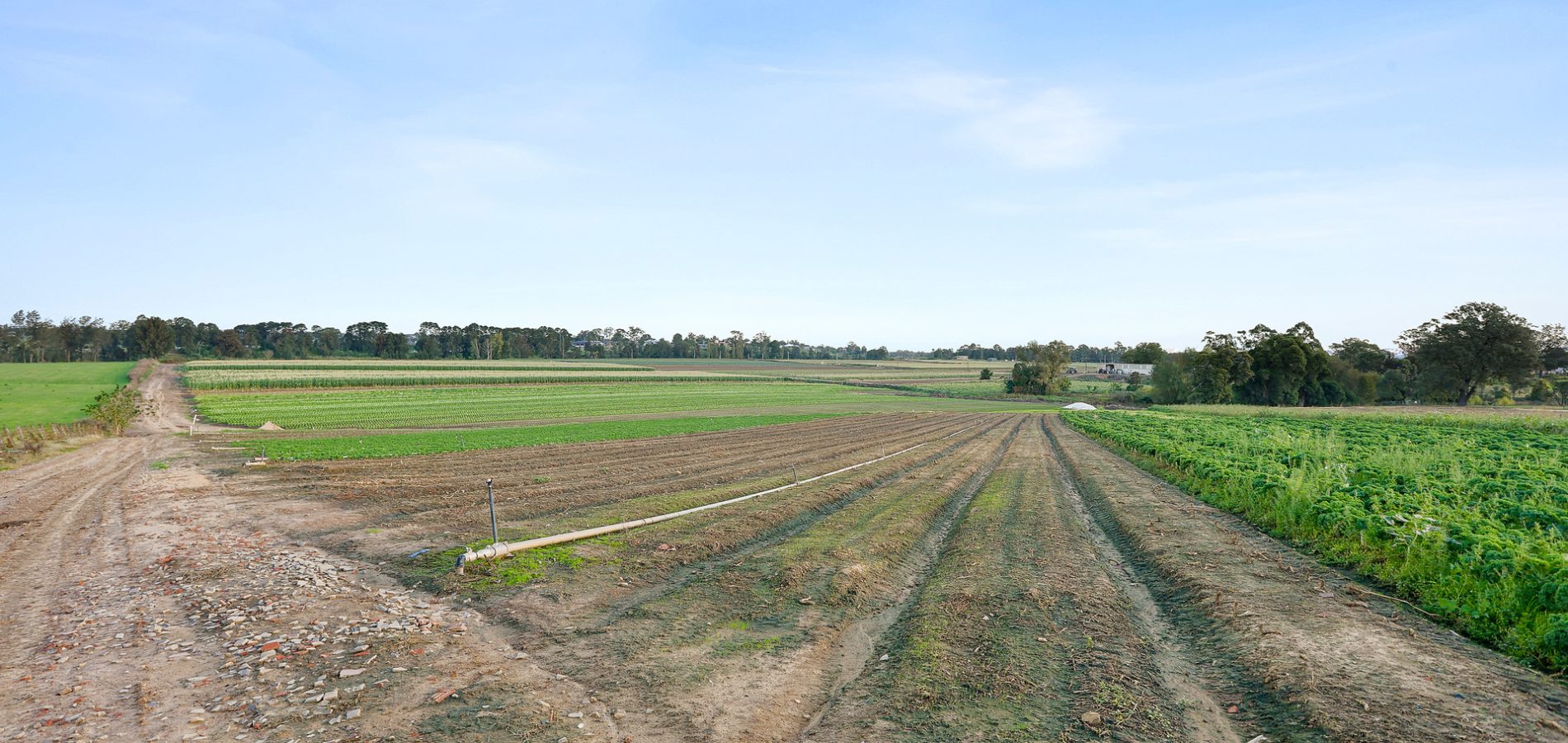 Sold - 68 Burdekin Road - New Property in Wilberforce - Real Estate by Greg Vincent