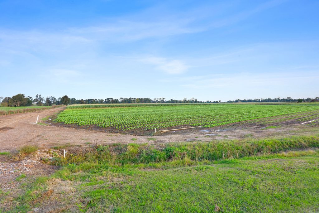 Sold - 68 Burdekin Road - New Property in Wilberforce - Real Estate by Greg Vincent