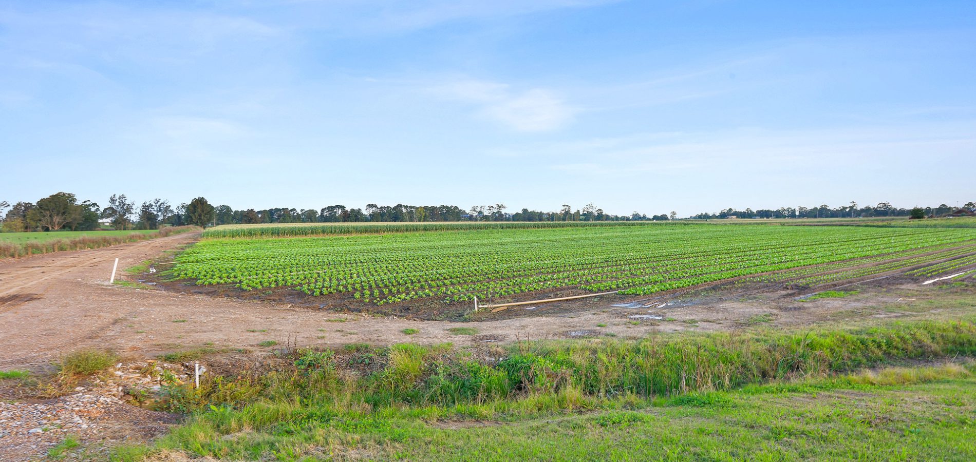 Sold - 68 Burdekin Road - New Property in Wilberforce - Real Estate by Greg Vincent