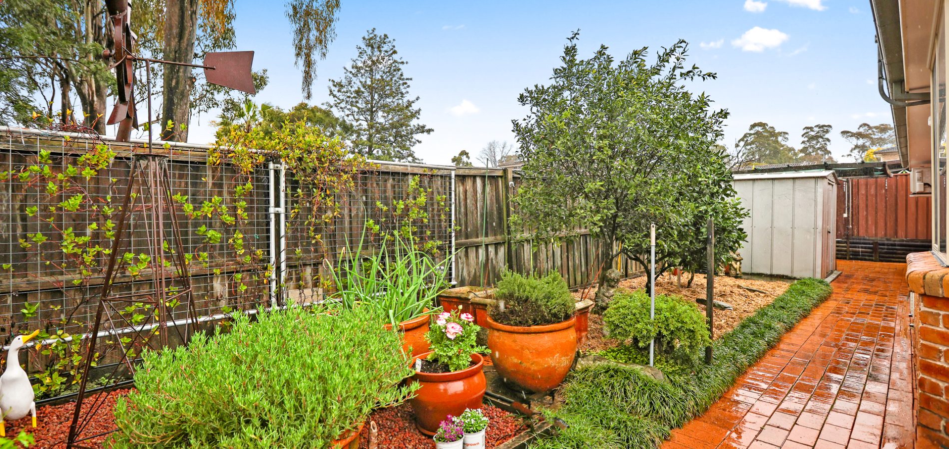 Sold - 21 Wolseley Street - New Property in Rooty Hill - Real Estate by  