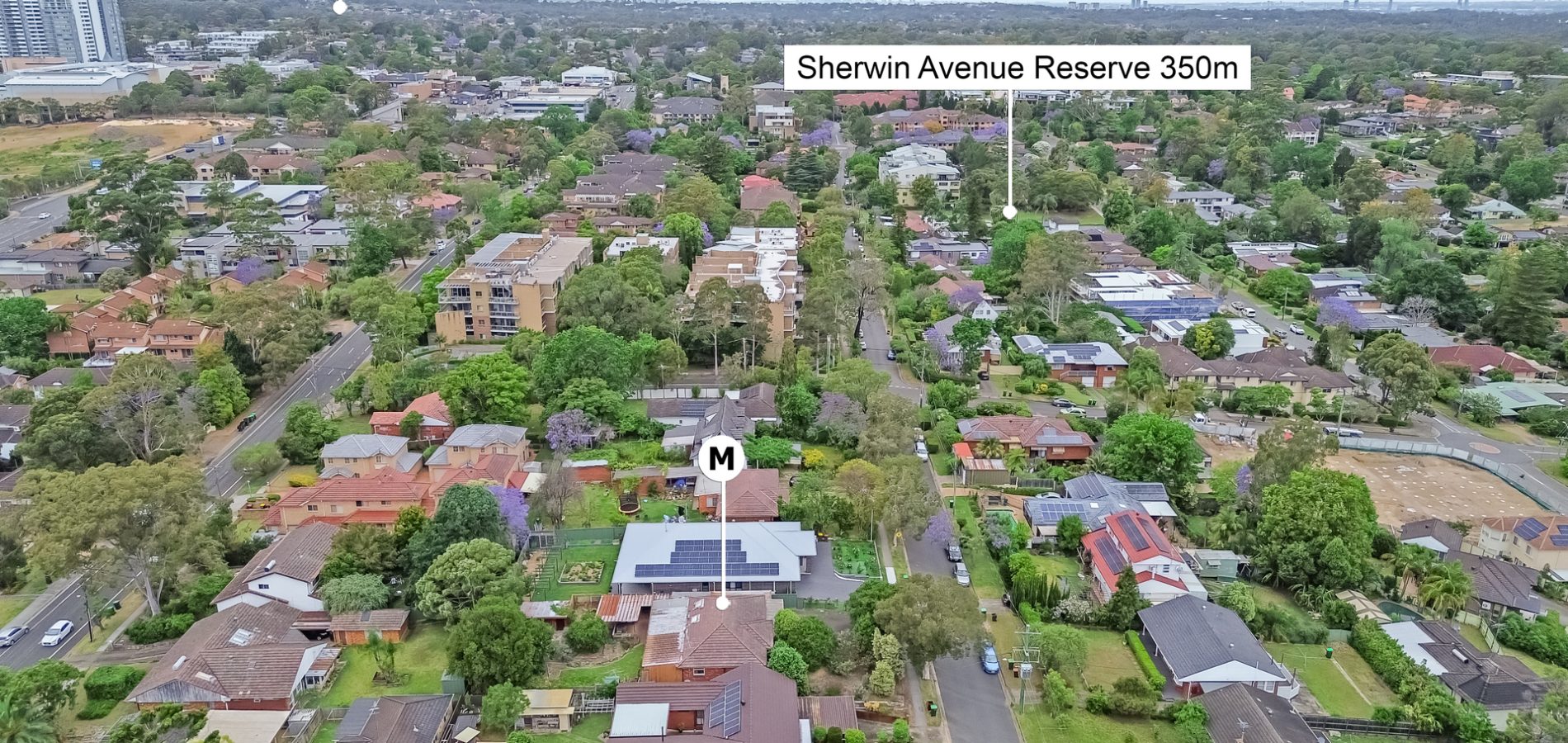 Sold - 49 Sherwin Avenue - New Property in Castle Hill - Real Estate by Stephen Lord