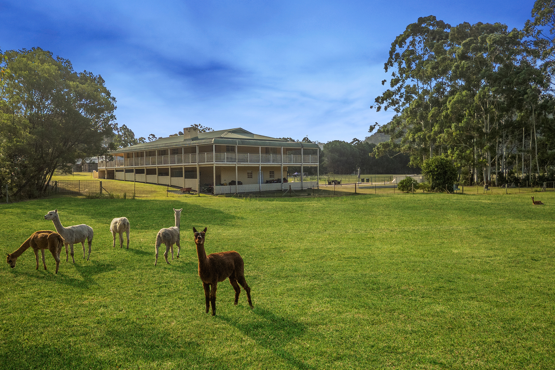 Sold - 499 Singleton Road - New Property in Laughtondale - Real Estate by Elise Lau