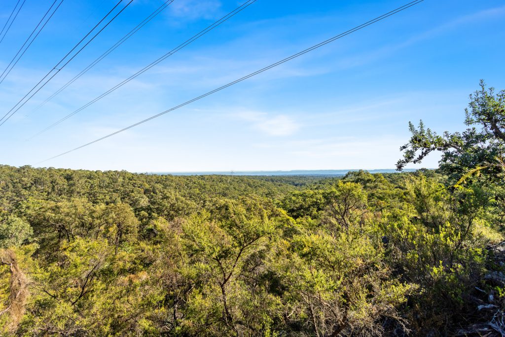 Sold - 346-386 Halcrows Road - New Property in Glenorie - Real Estate by Alastair Kivell