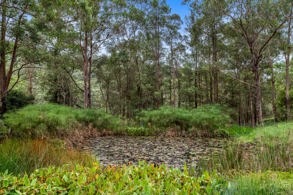 Sold - 11/276 Hermitage Road - New Property in Kurrajong Hills - Real Estate by Alastair Kivell
