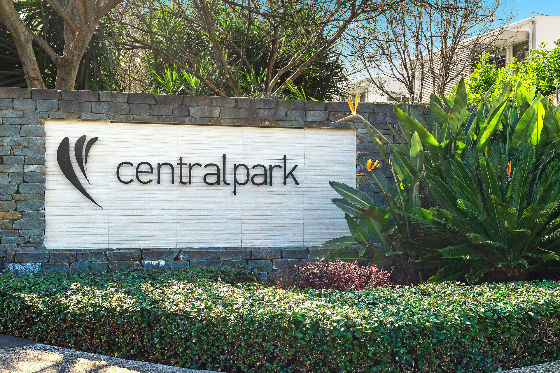 Sold - 15 Central Park Avenue - New Property in Norwest - Real Estate by Maree McCrorie