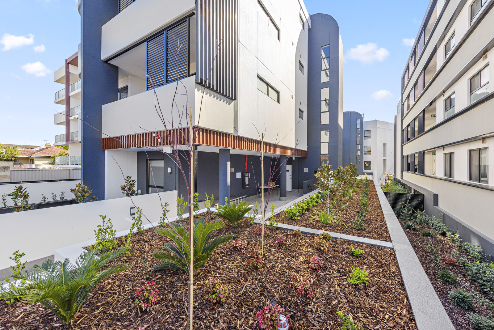 - 29 Garfield Street - New Property in Wentworthville - Real Estate by Sam Noakes