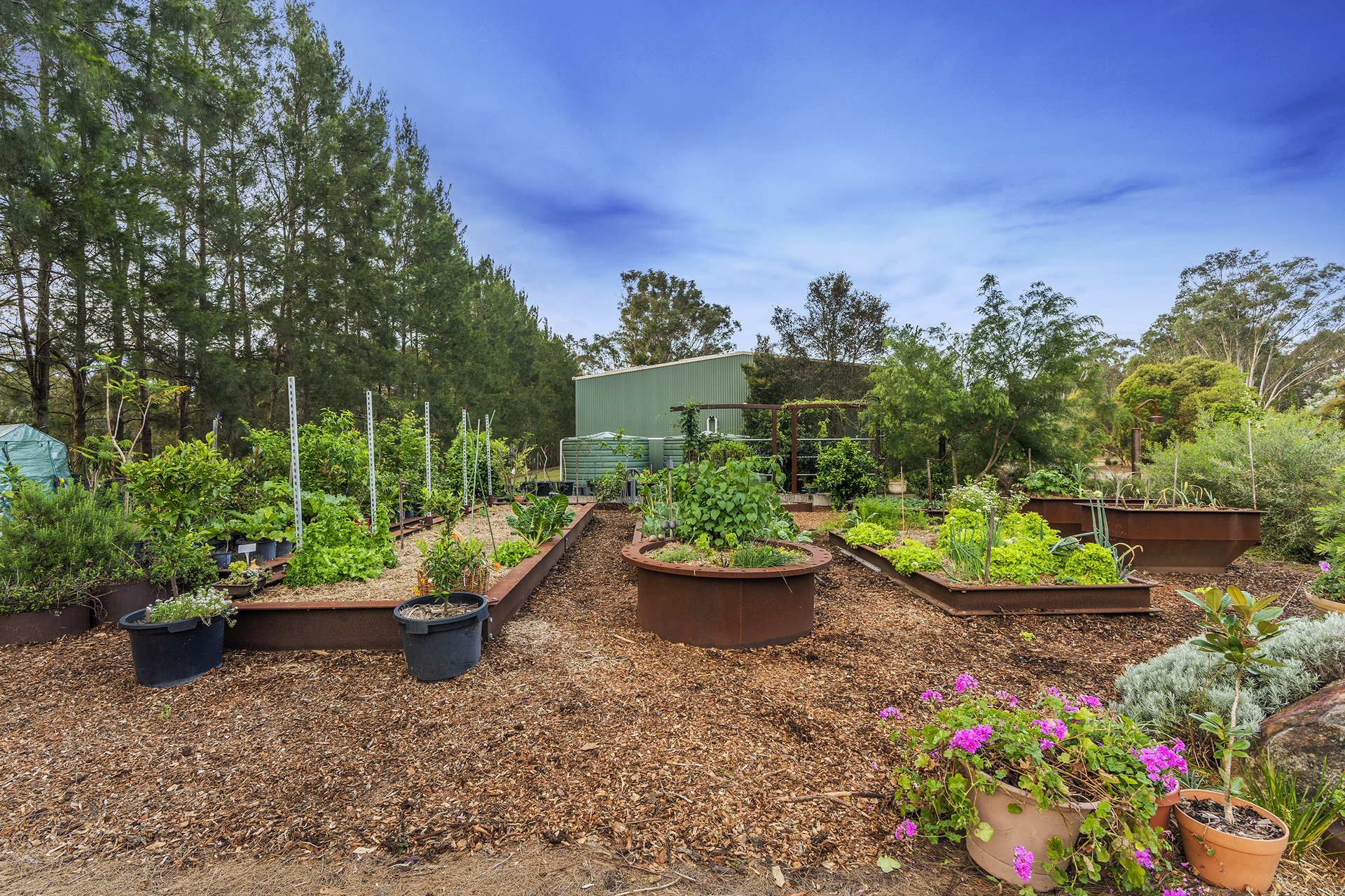 Sold - 17 Pitt Town Dural Road - New Property in Pitt Town - Real Estate by Brett Humby