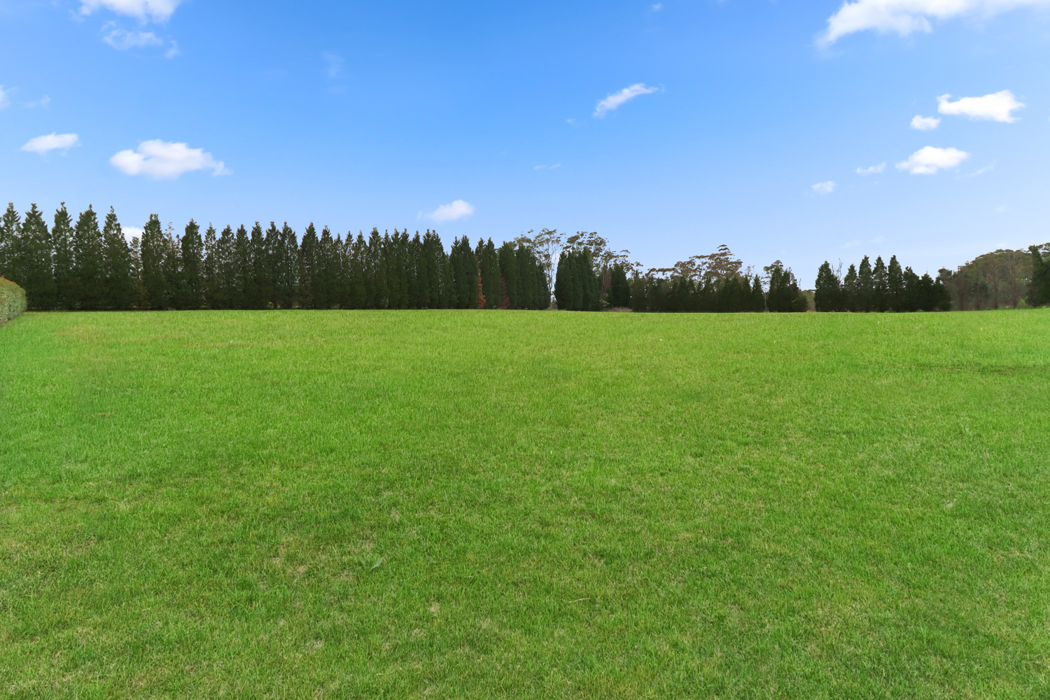 For Sale - 798C Old Northern Road - New Property in Middle Dural - Real Estate by Elise Lau
