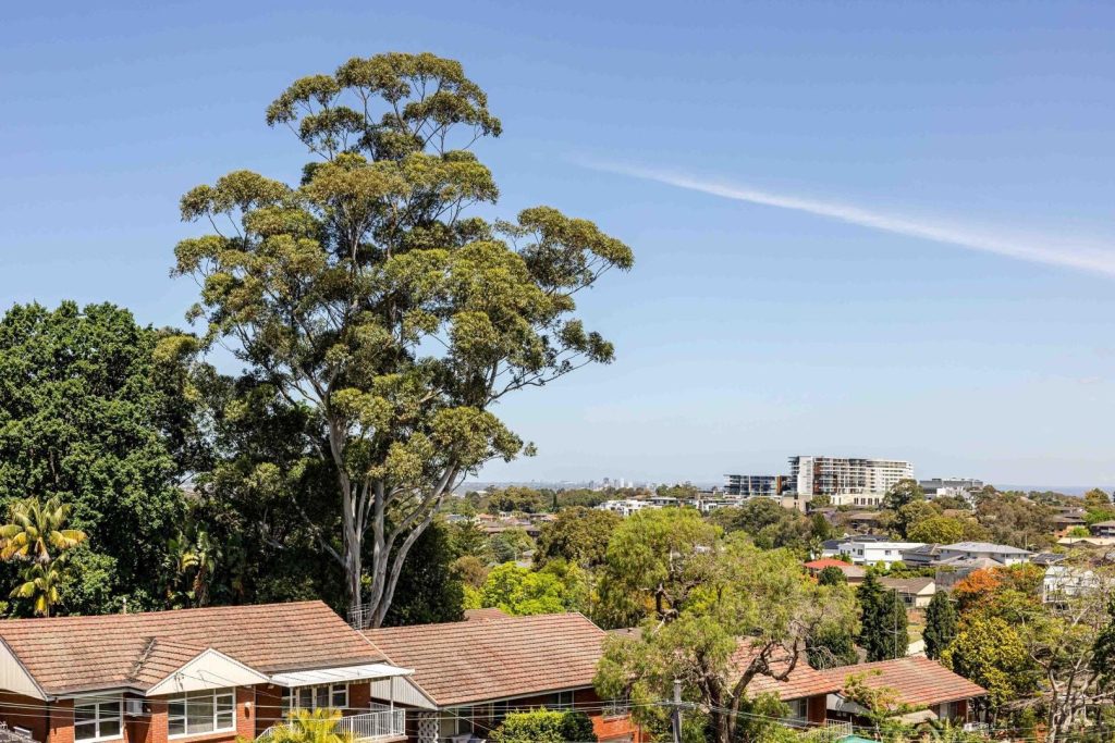 Sold - 45A Hancott Street - New Property in Ryde - Real Estate by Teena Vaughan