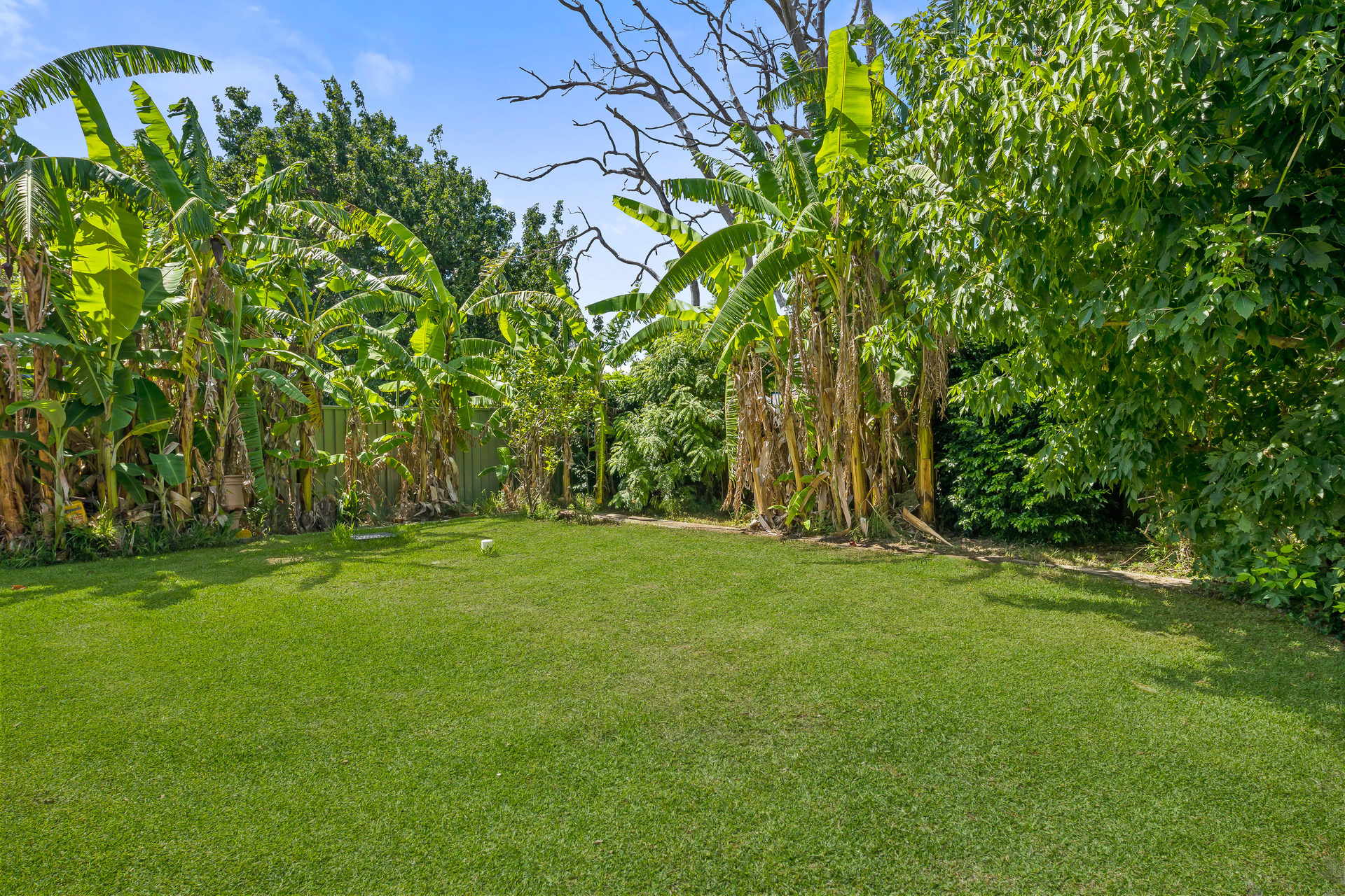 Sold - 27 Harrison Avenue - New Property in Eastwood - Real Estate by Teena Vaughan