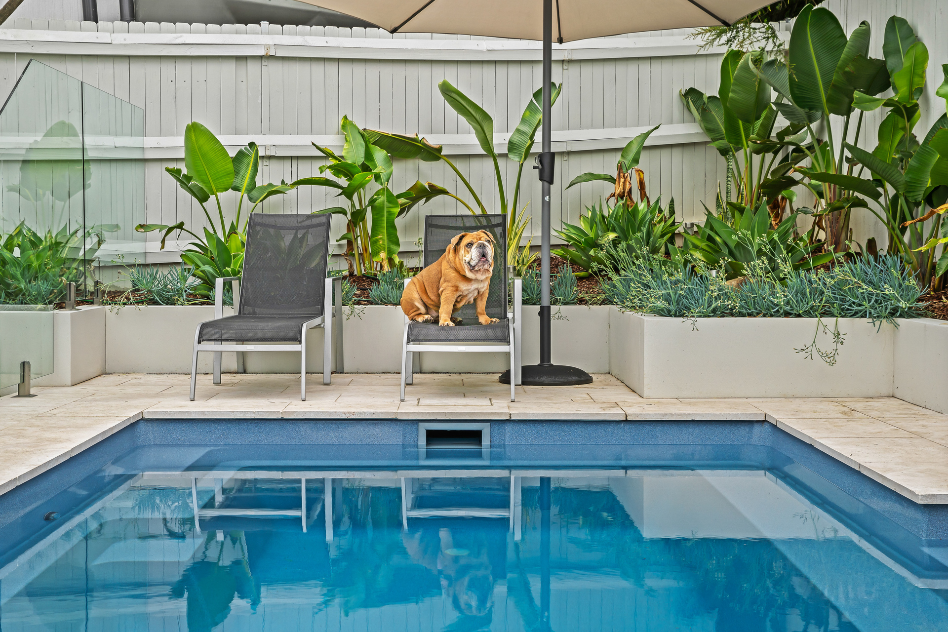 Sold - 12 Cosimo Place - New Property in Ryde - Real Estate by Teena Vaughan