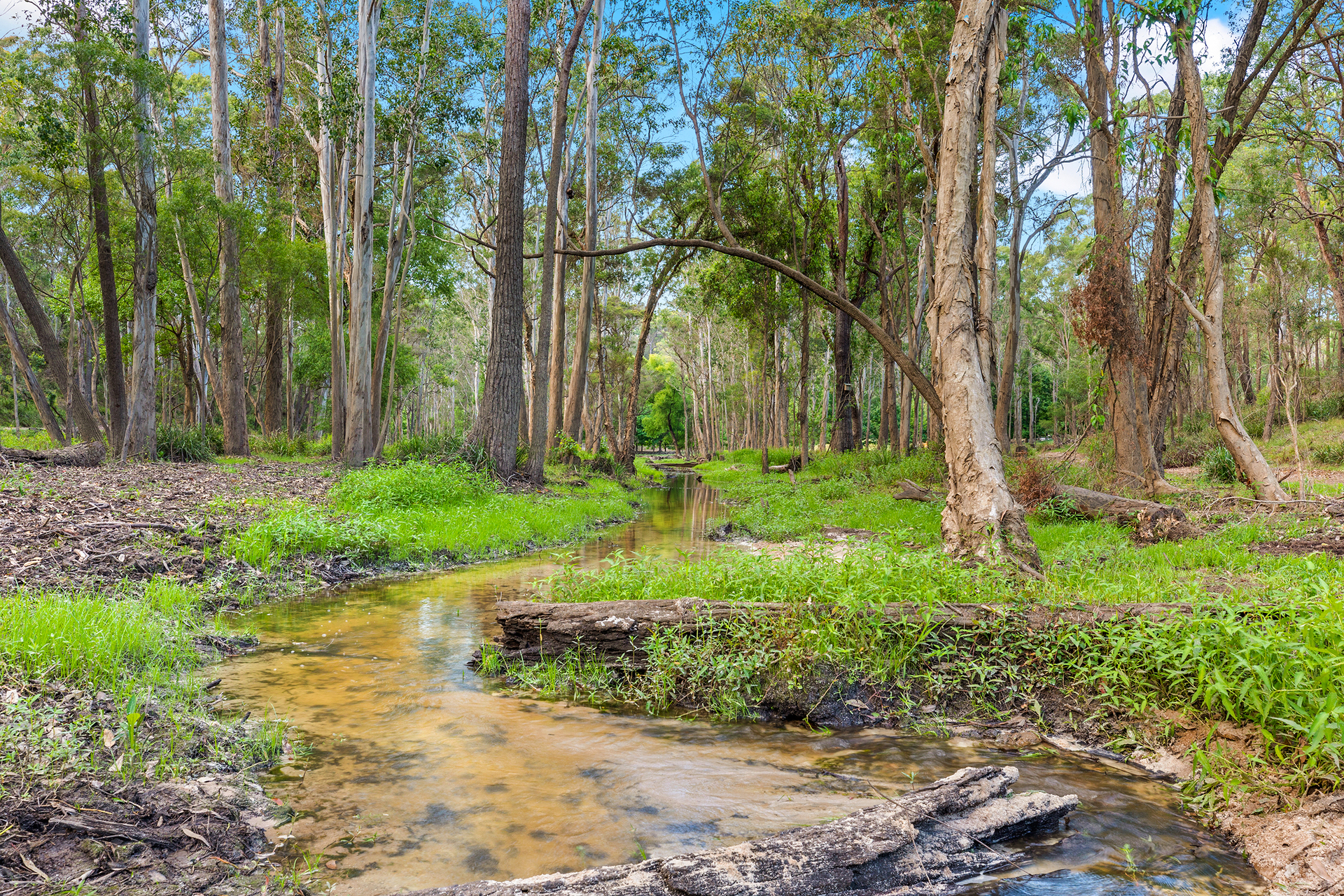 For Sale - 9 Bloodwood Place - New Property in Kenthurst - Real Estate by Louis Stapleton
