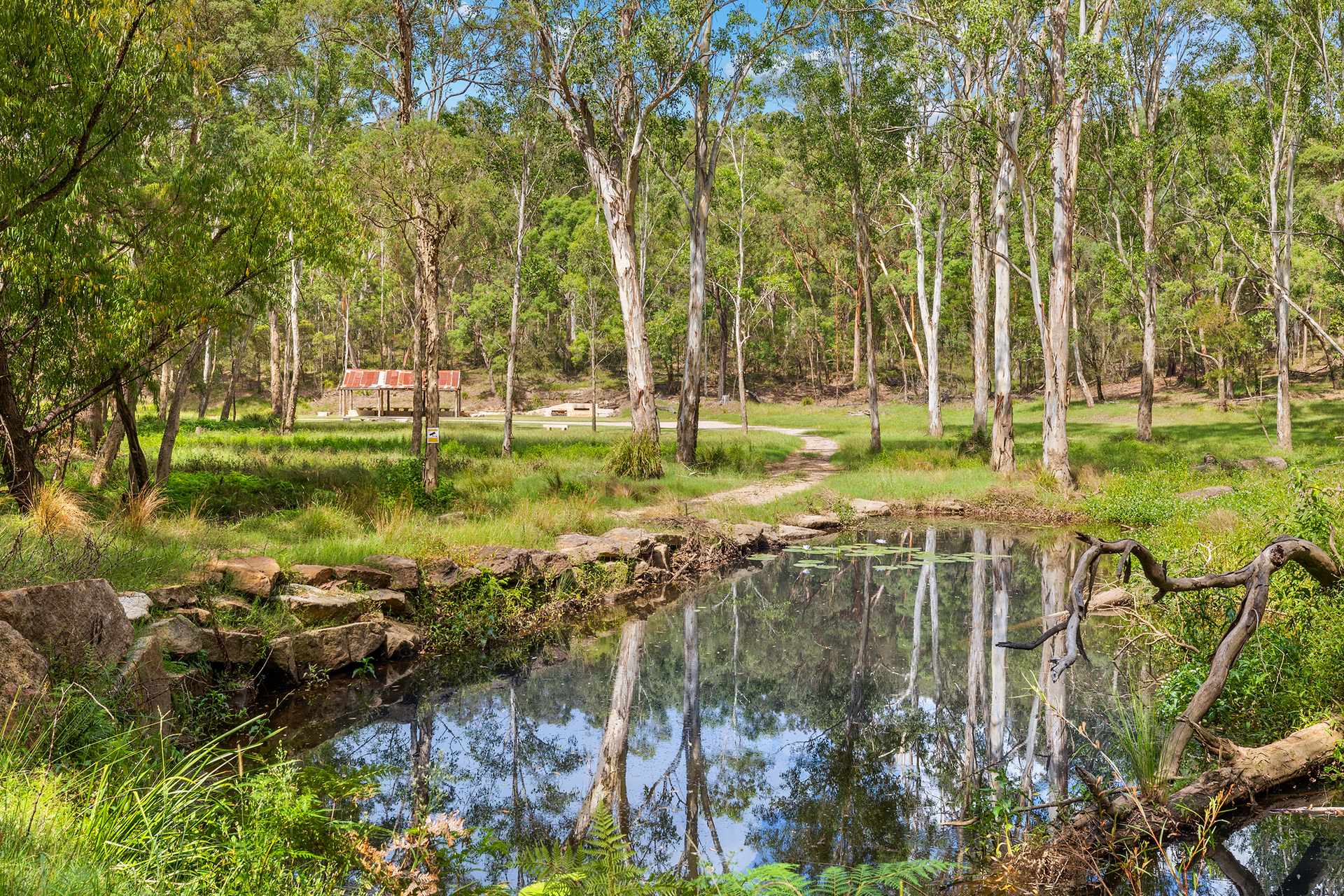 For Sale - 9 Bloodwood Place - New Property in Kenthurst - Real Estate by Louis Stapleton
