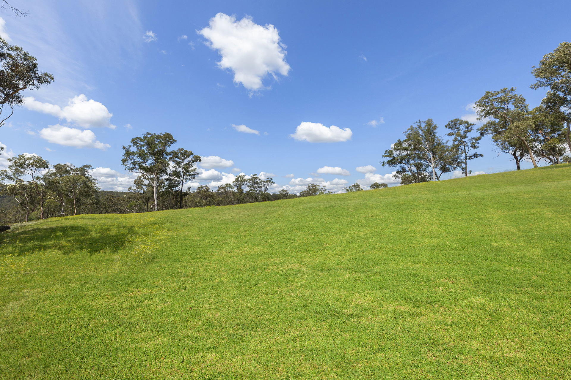 For Sale - 15 Bloodwood Place - New Property in Kenthurst - Real Estate by Louis Stapleton