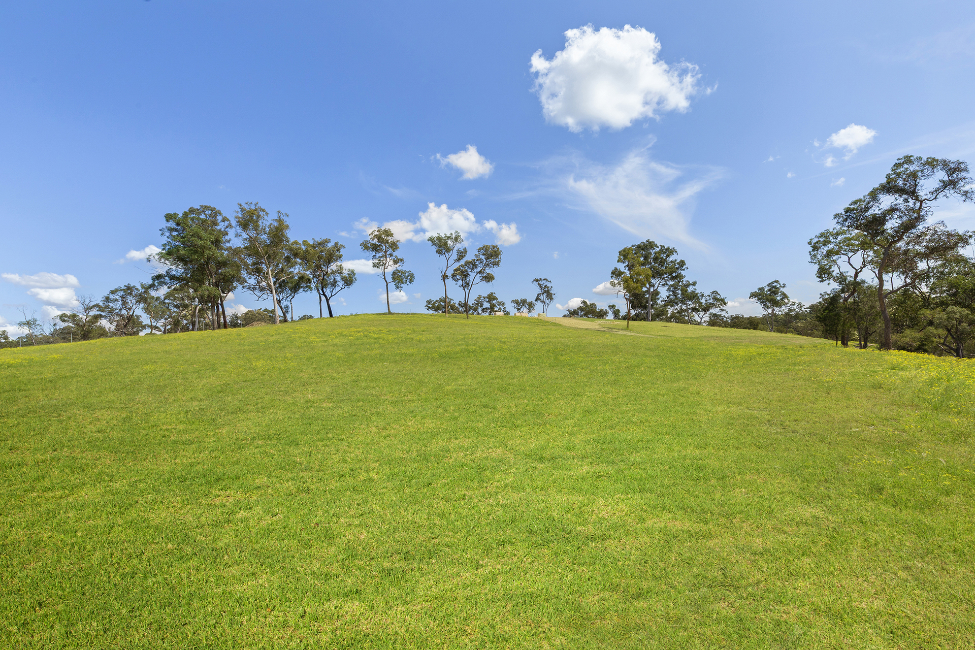 For Sale - 15 Bloodwood Place - New Property in Kenthurst - Real Estate by Louis Stapleton