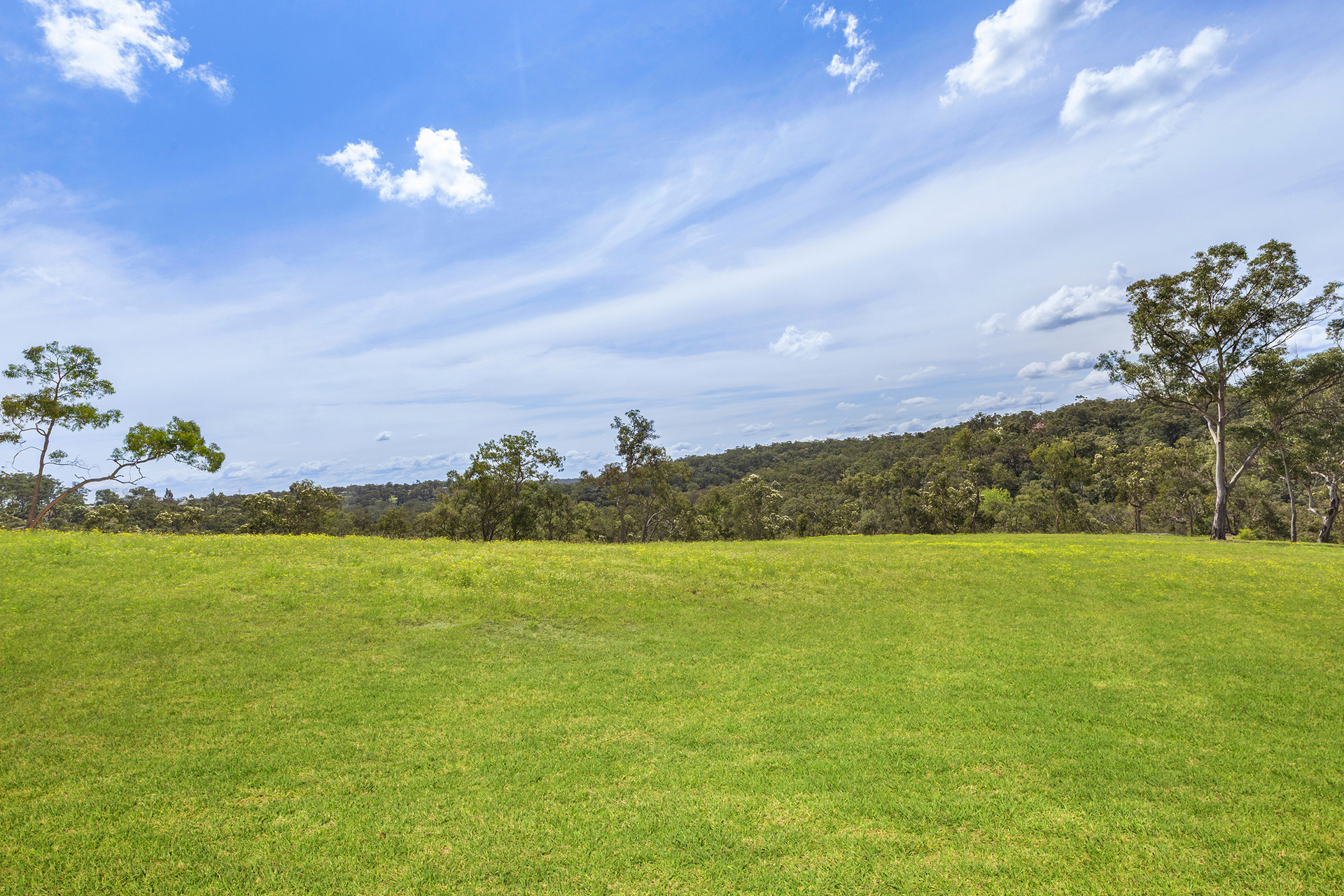 For Sale - 15 Bloodwood Place - New Property in Kenthurst - Real Estate by Louis Stapleton