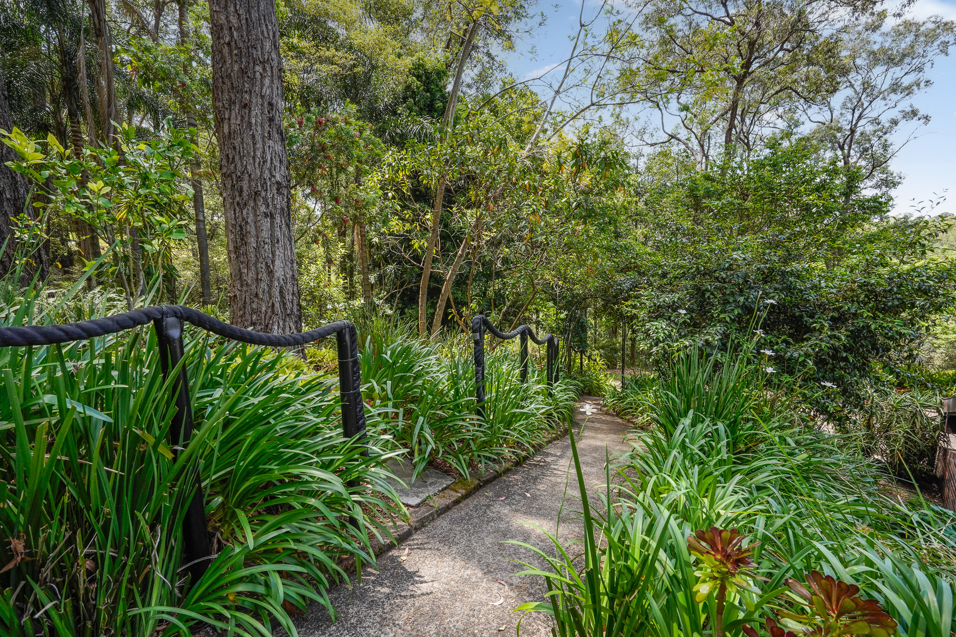 For Sale - 91 Serpentine Lane - New Property in Bowen Mountain - Real Estate by Greg Vincent