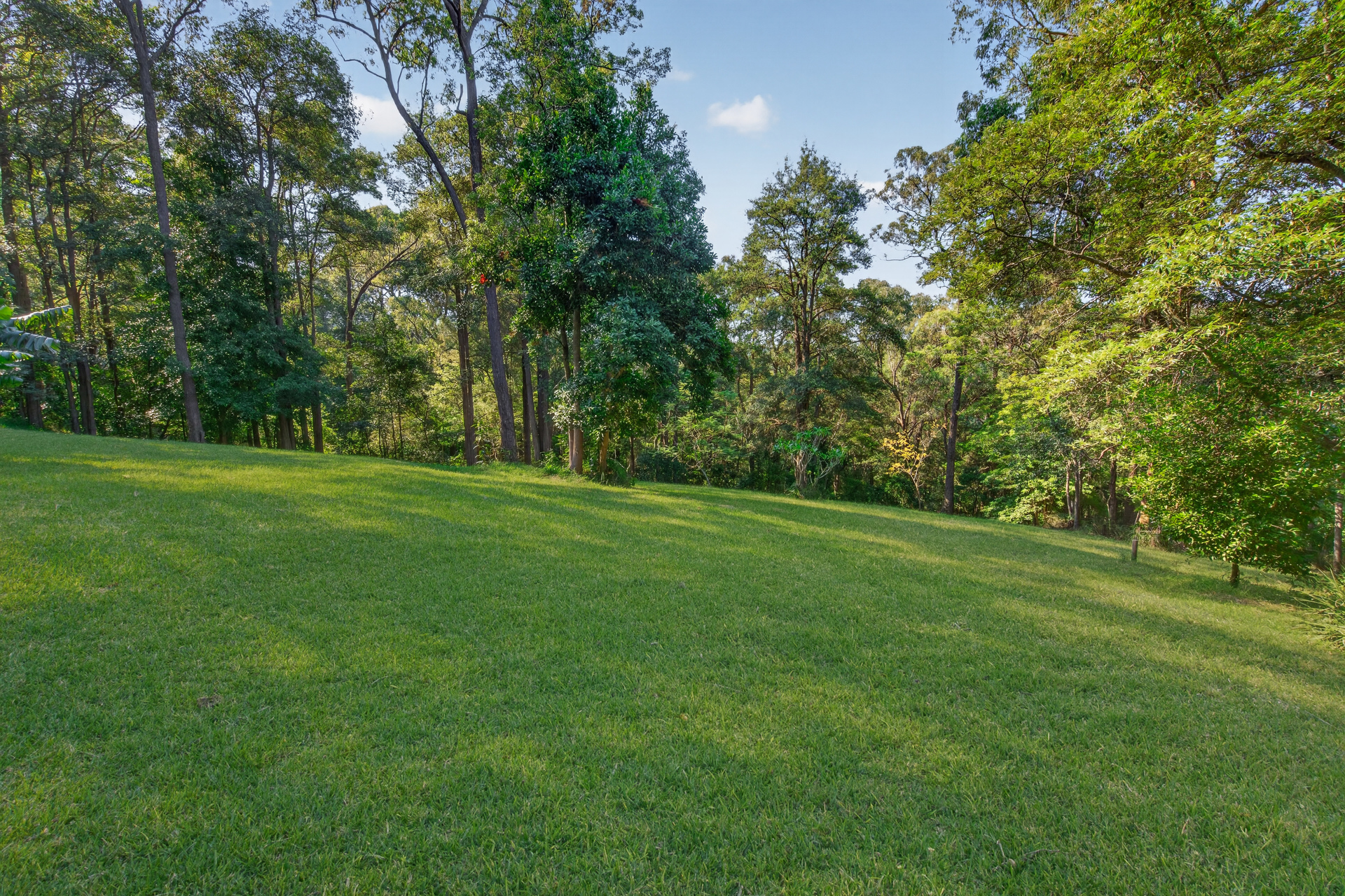 For Sale - 91 Serpentine Lane - New Property in Bowen Mountain - Real Estate by Greg Vincent