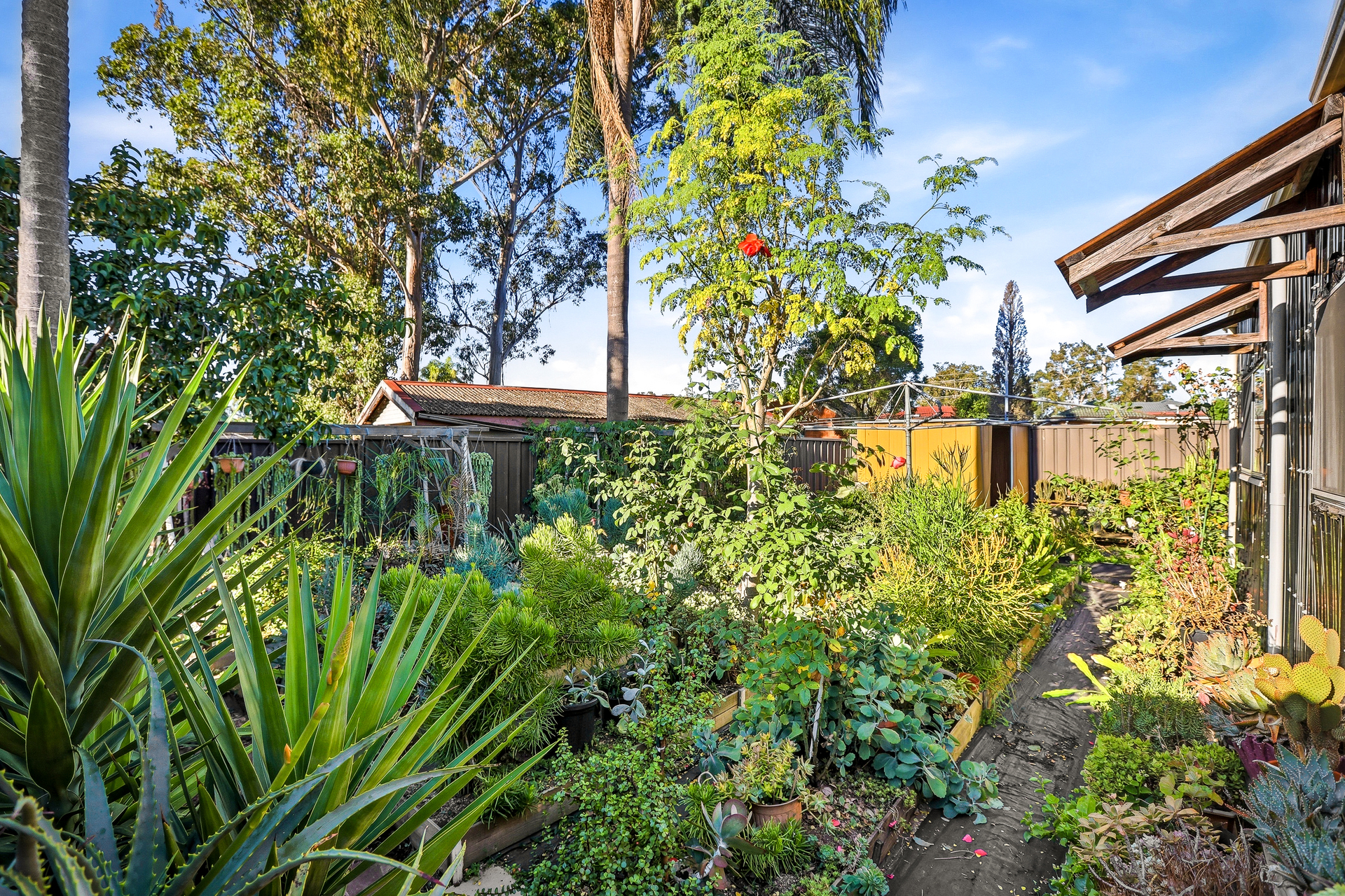 Sold - 3 Beryl Place - New Property in Rooty Hill - Real Estate by