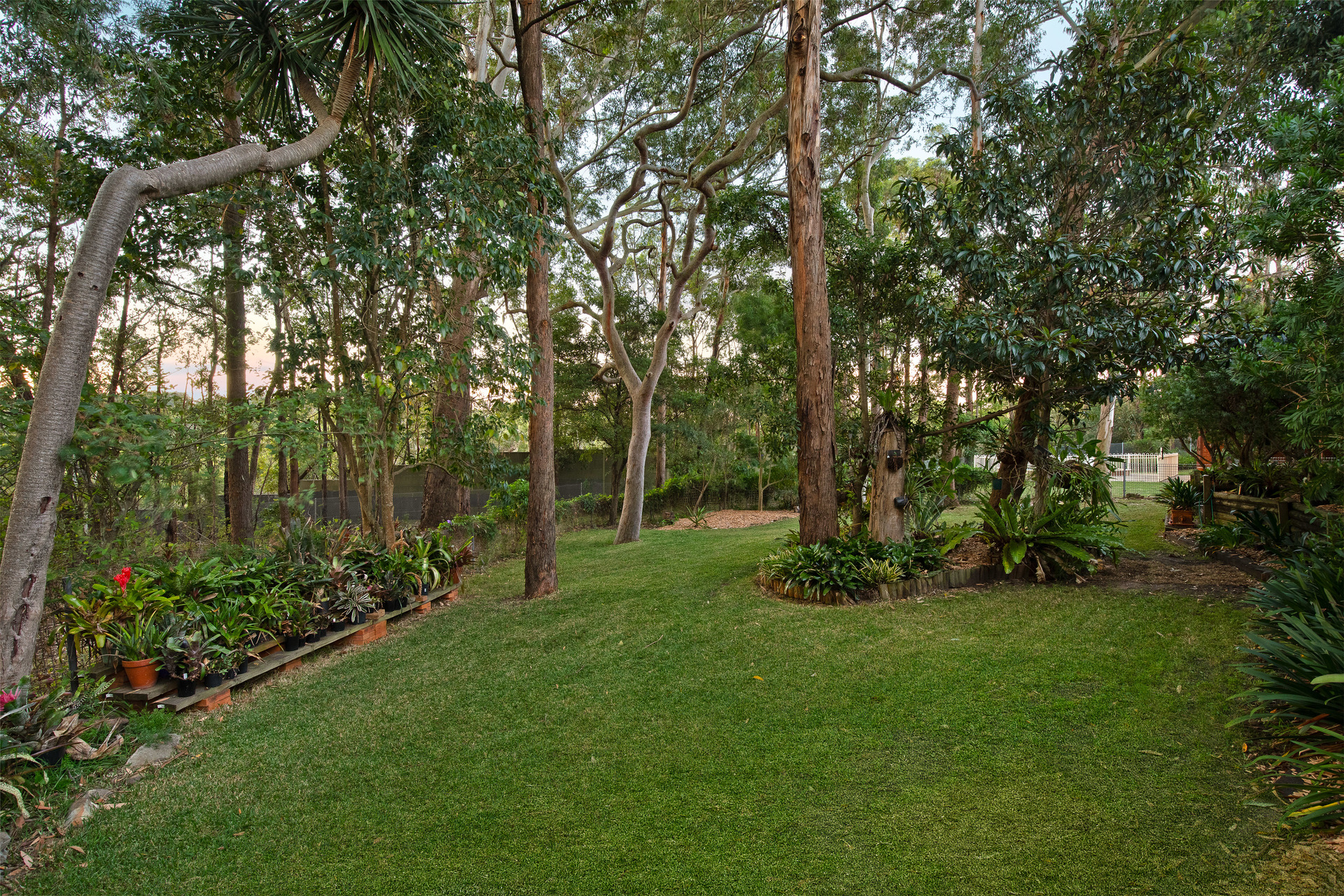 Sold - 41 Williams Road - New Property in North Rocks - Real Estate by Jamie Benjamin
