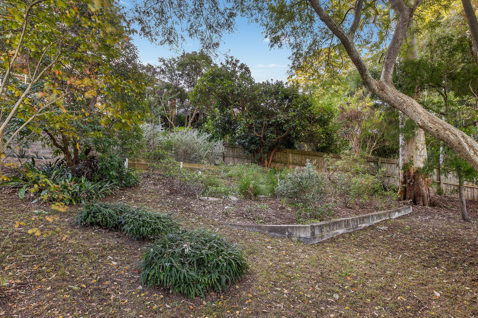 Sold - 24 Buena Vista Avenue - New Property in Denistone - Real Estate by Teena Vaughan