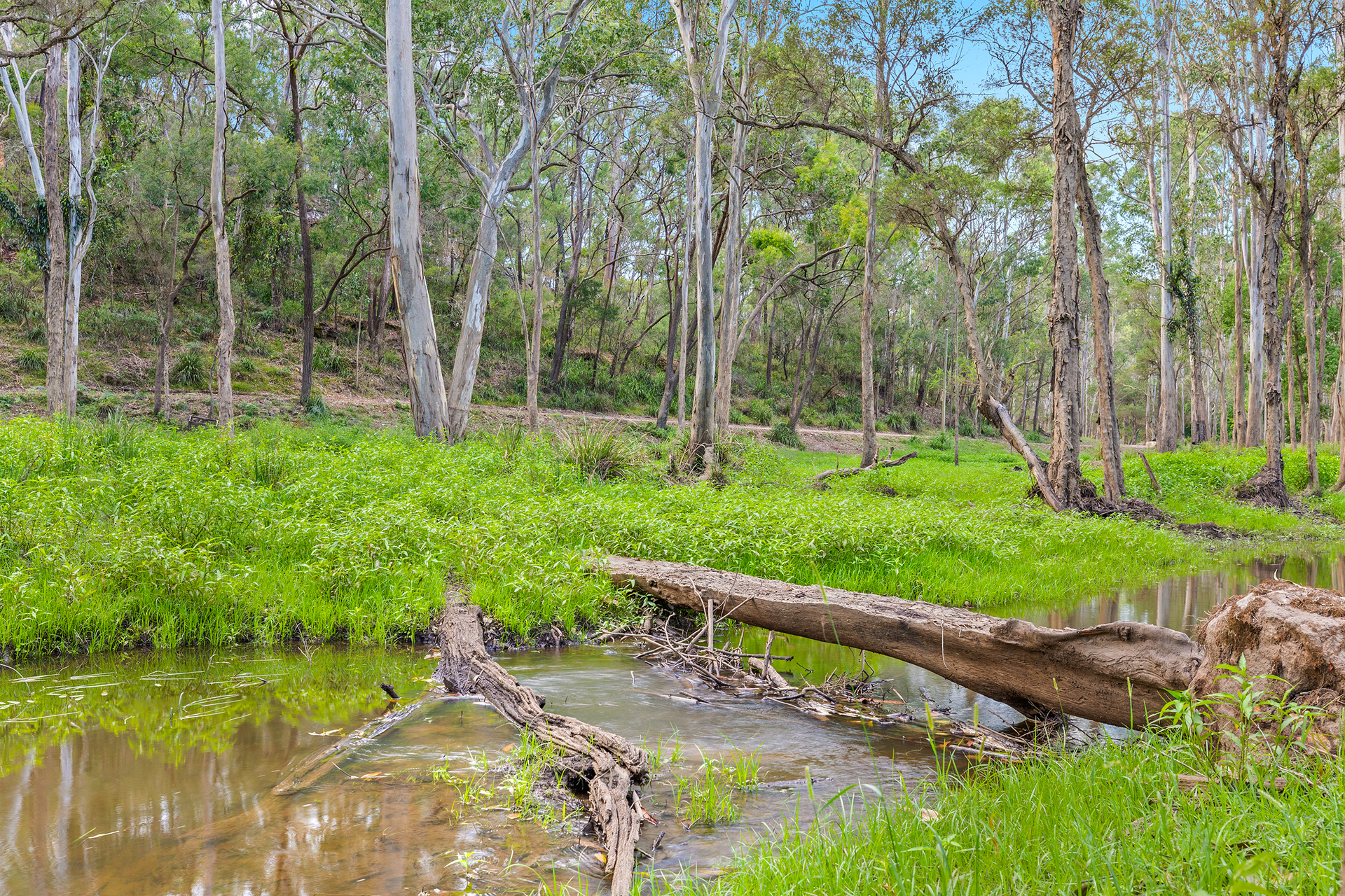 For Sale - 9 Bloodwood Place - New Property in Kenthurst - Real Estate by Louis Stapleton