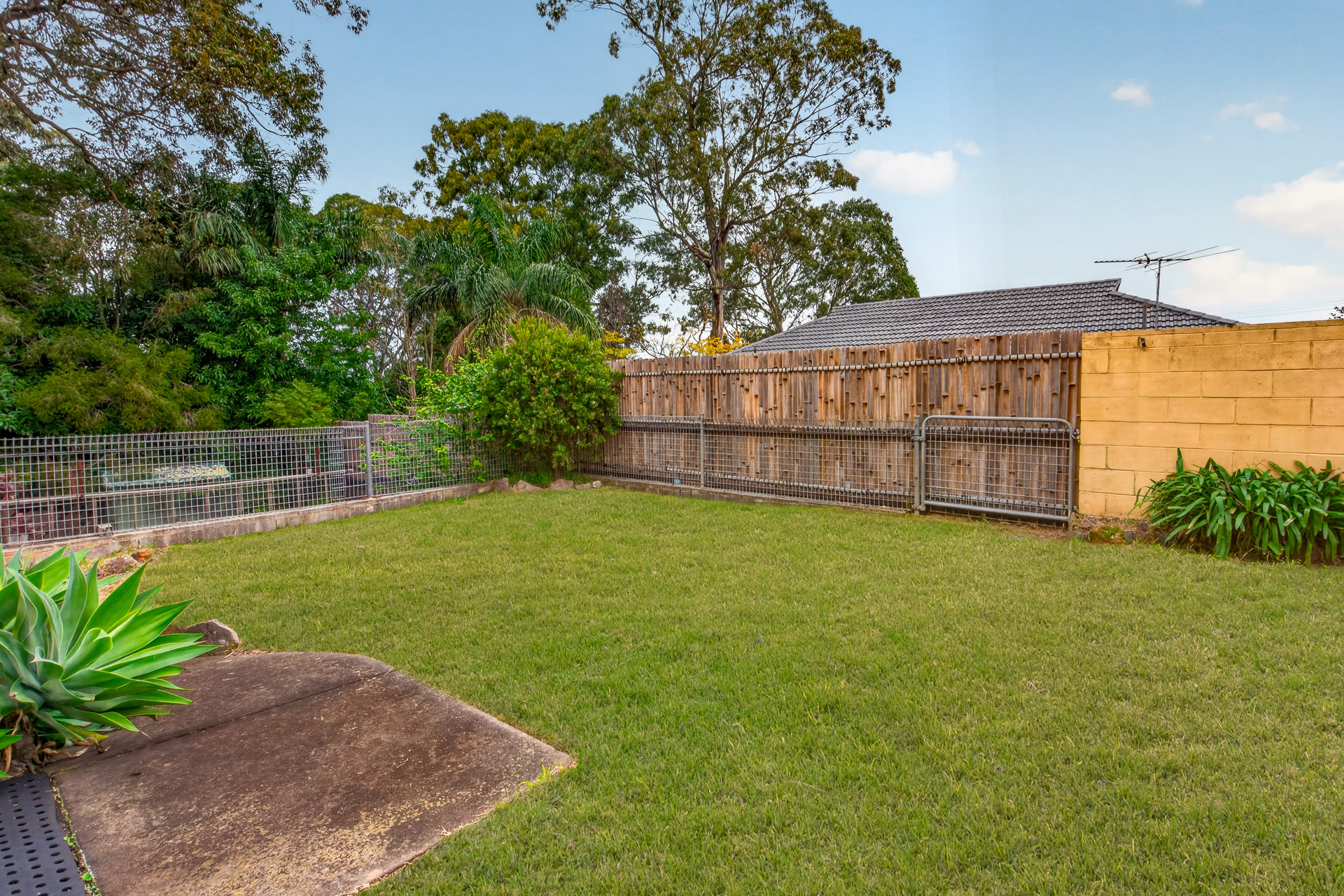 Auction - 10 Best Road - New Property in Seven Hills - Real Estate by Kim McChlery