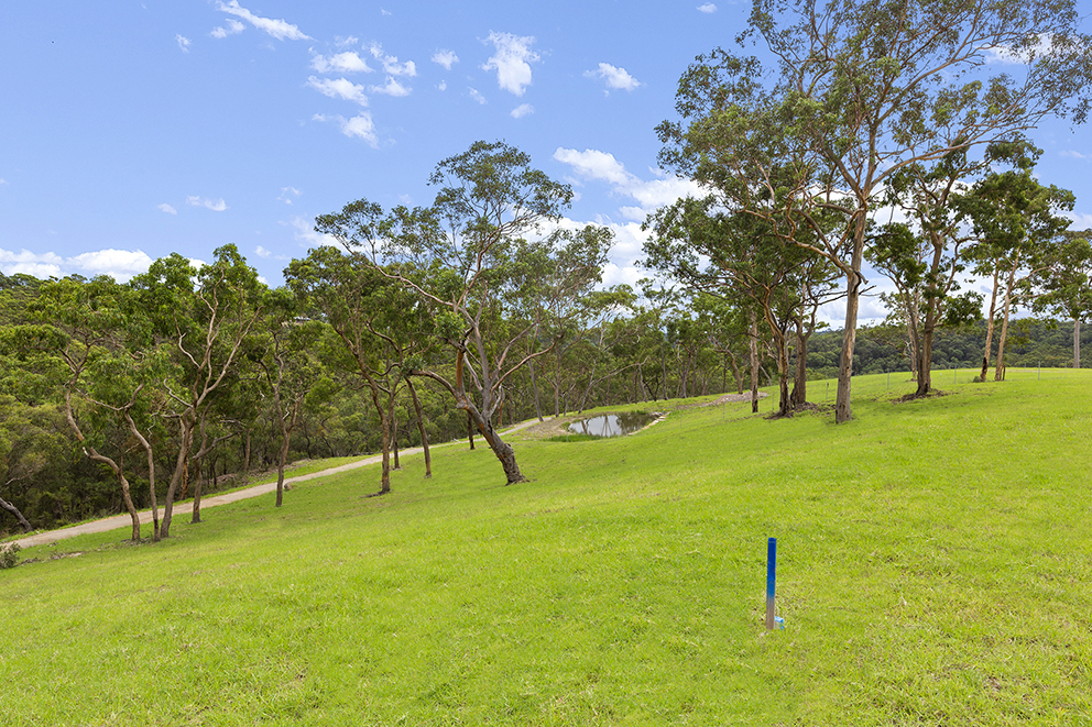 Sold - Lot 6/85 Gibbs Road - New Property in Kenthurst - Real Estate by Louis Stapleton