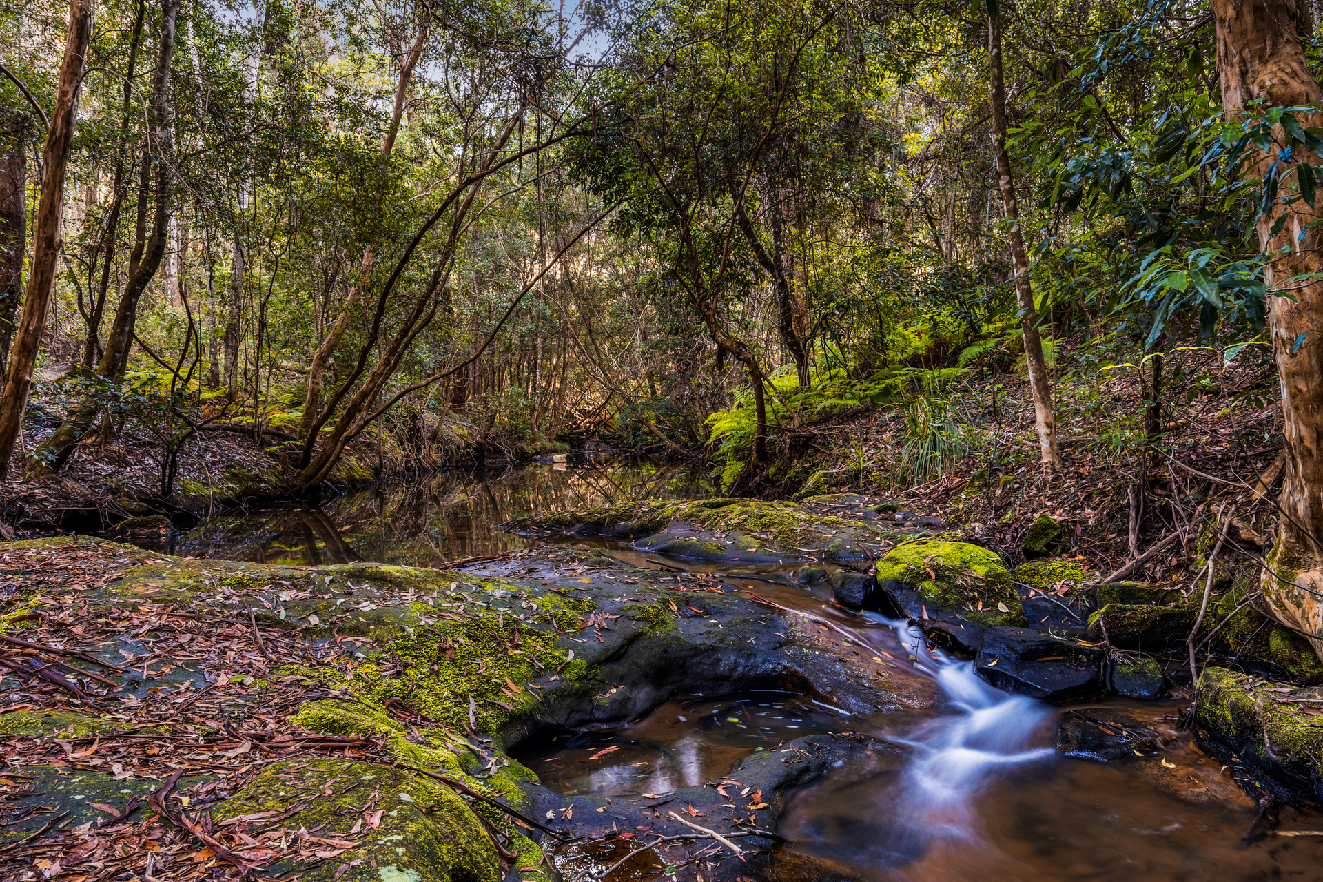 For Sale - 83H Willow Glen Road - New Property in Kurrajong - Real Estate by Greg Vincent