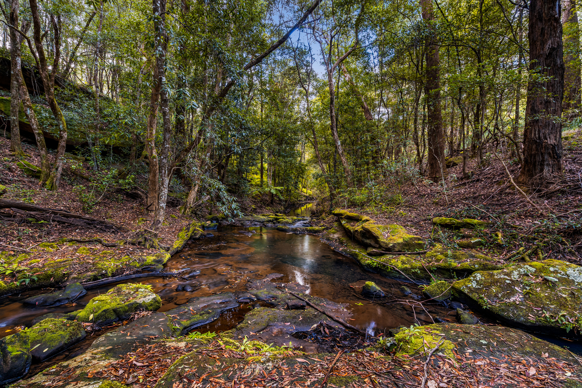 For Sale - 83H Willow Glen Road - New Property in Kurrajong - Real Estate by Greg Vincent