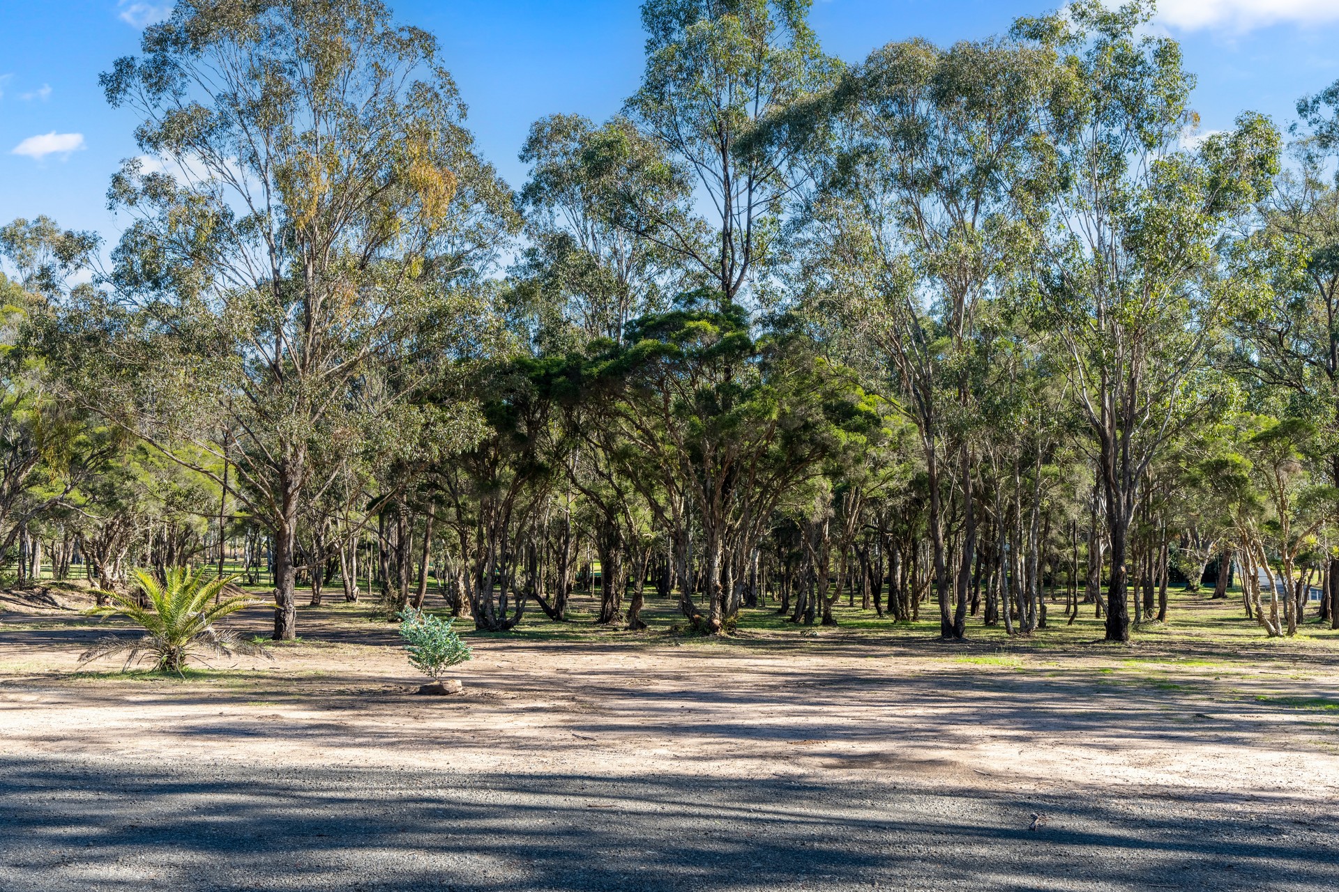 For Sale - 36 Old Pitt Town Road - New Property in Pitt Town - Real Estate by Brett Humby