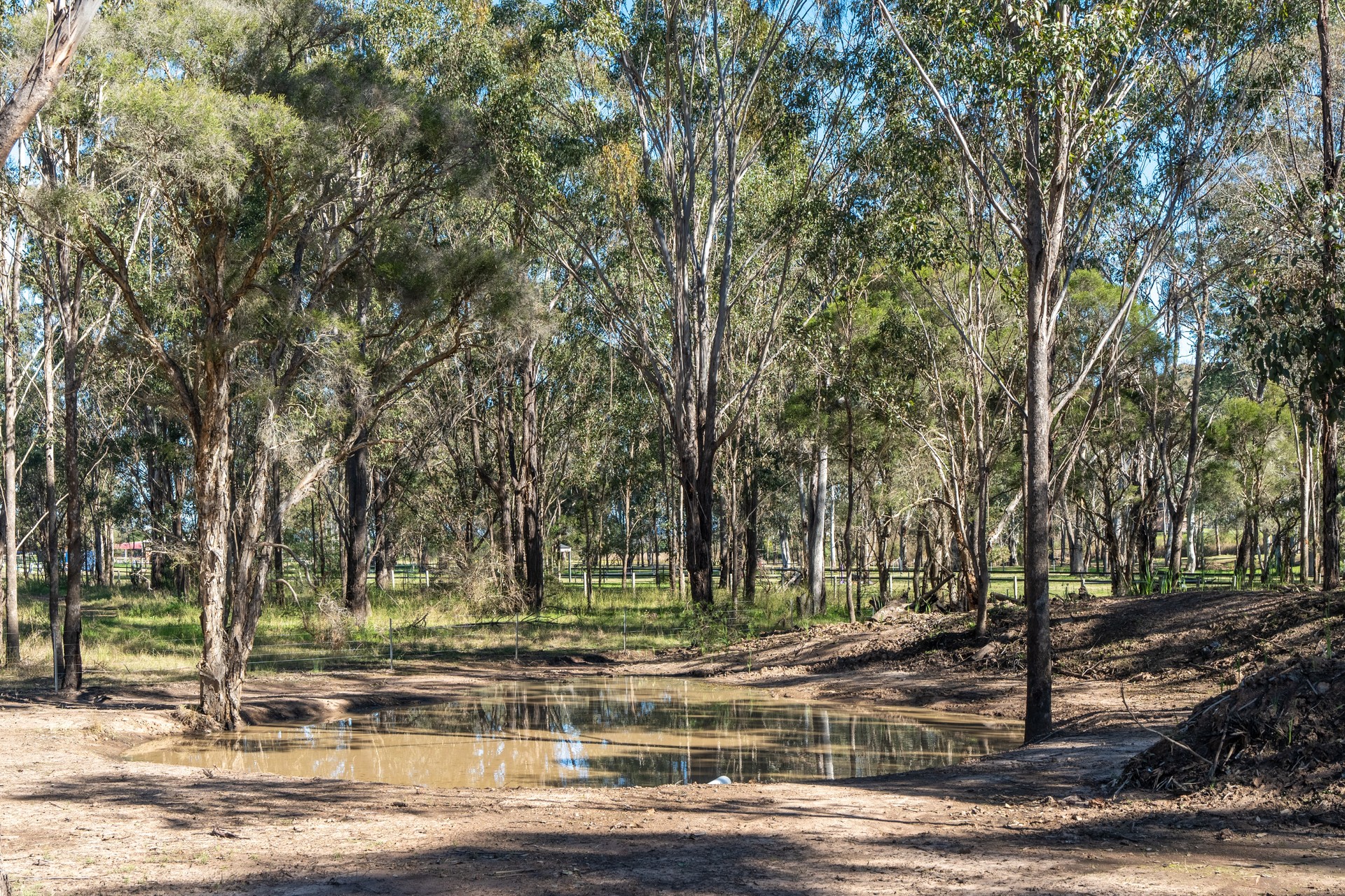 For Sale - 36 Old Pitt Town Road - New Property in Pitt Town - Real Estate by Brett Humby