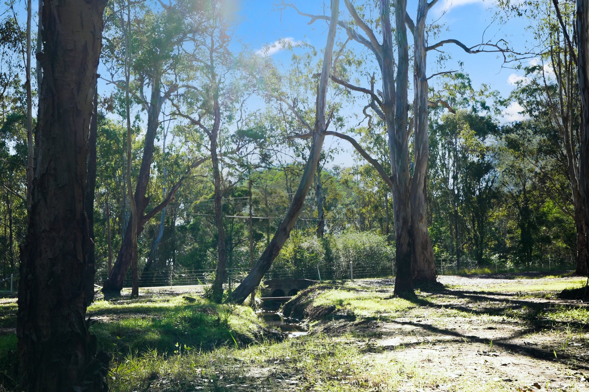 For Sale - 36 Old Pitt Town Road - New Property in Pitt Town - Real Estate by Brett Humby