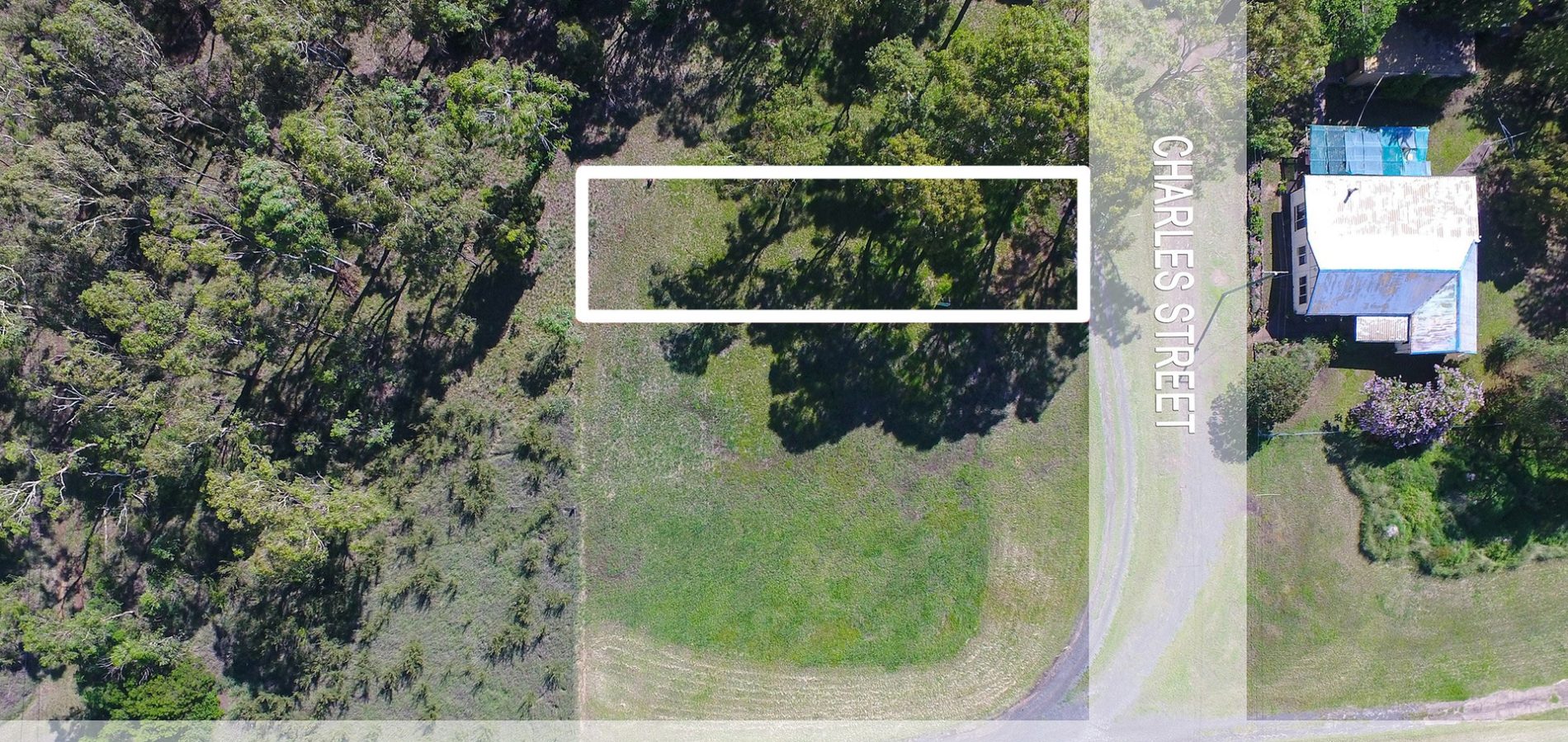 For Sale - Lot 33 Charles Street - New Property in Angus - Real Estate by Julie Grigg