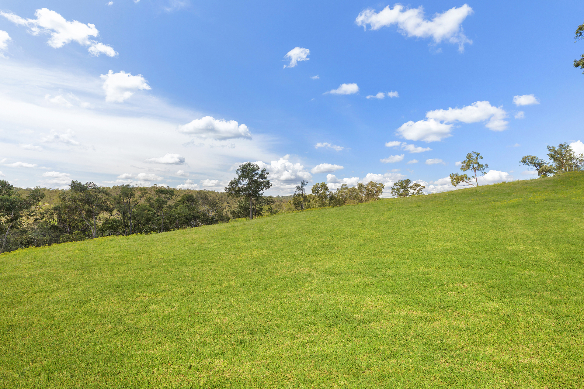 For Sale - 14 Bloodwood Place - New Property in Kenthurst - Real Estate by Louis Stapleton