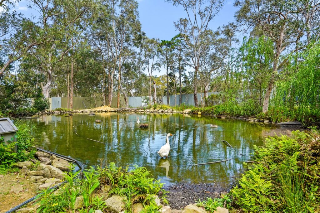 Sold - 180 Stannix Park Road - New Property in Wilberforce - Real Estate by Greg Vincent